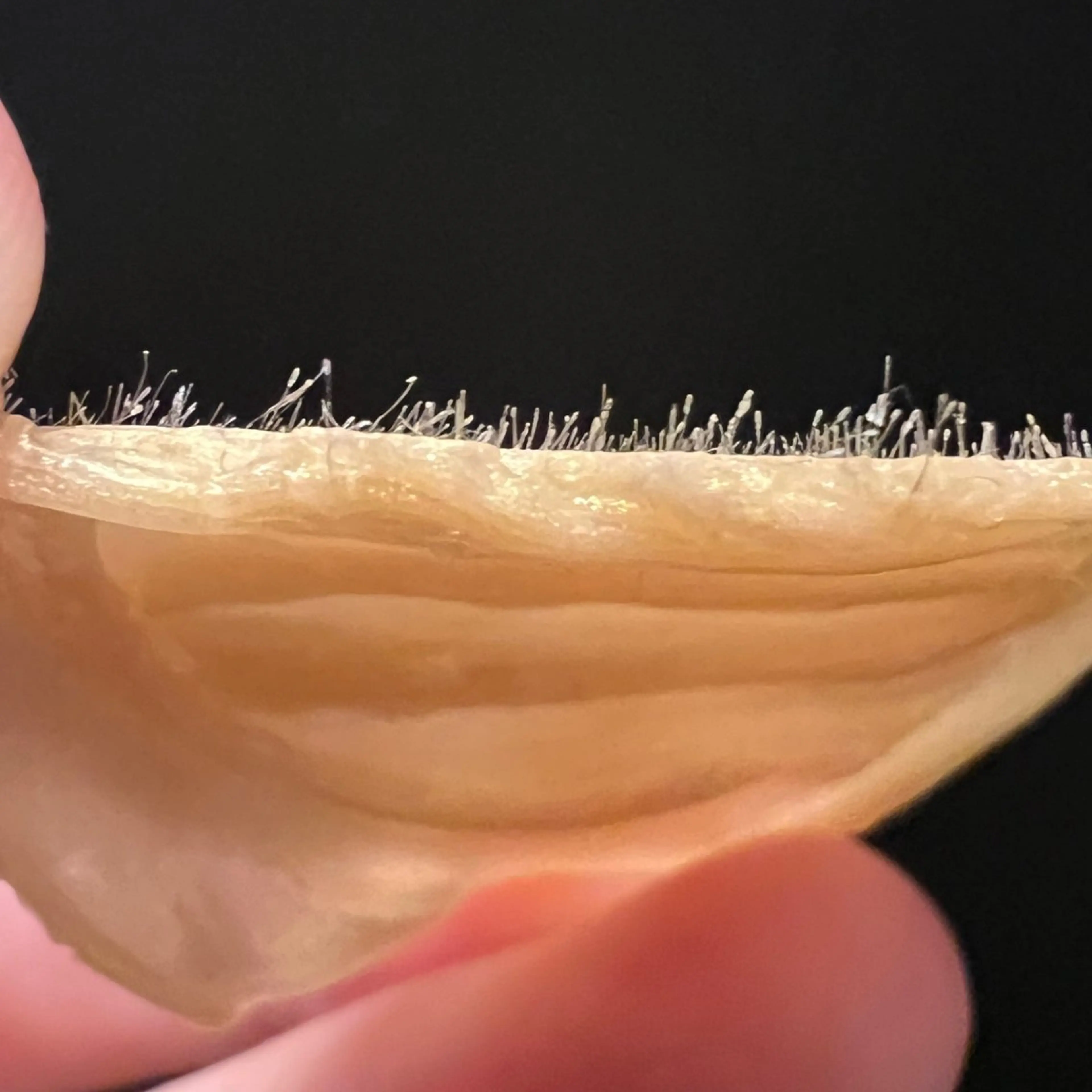 GOLDEN AGE所属・GOLDEN AGEのエステ・リラクイメージ