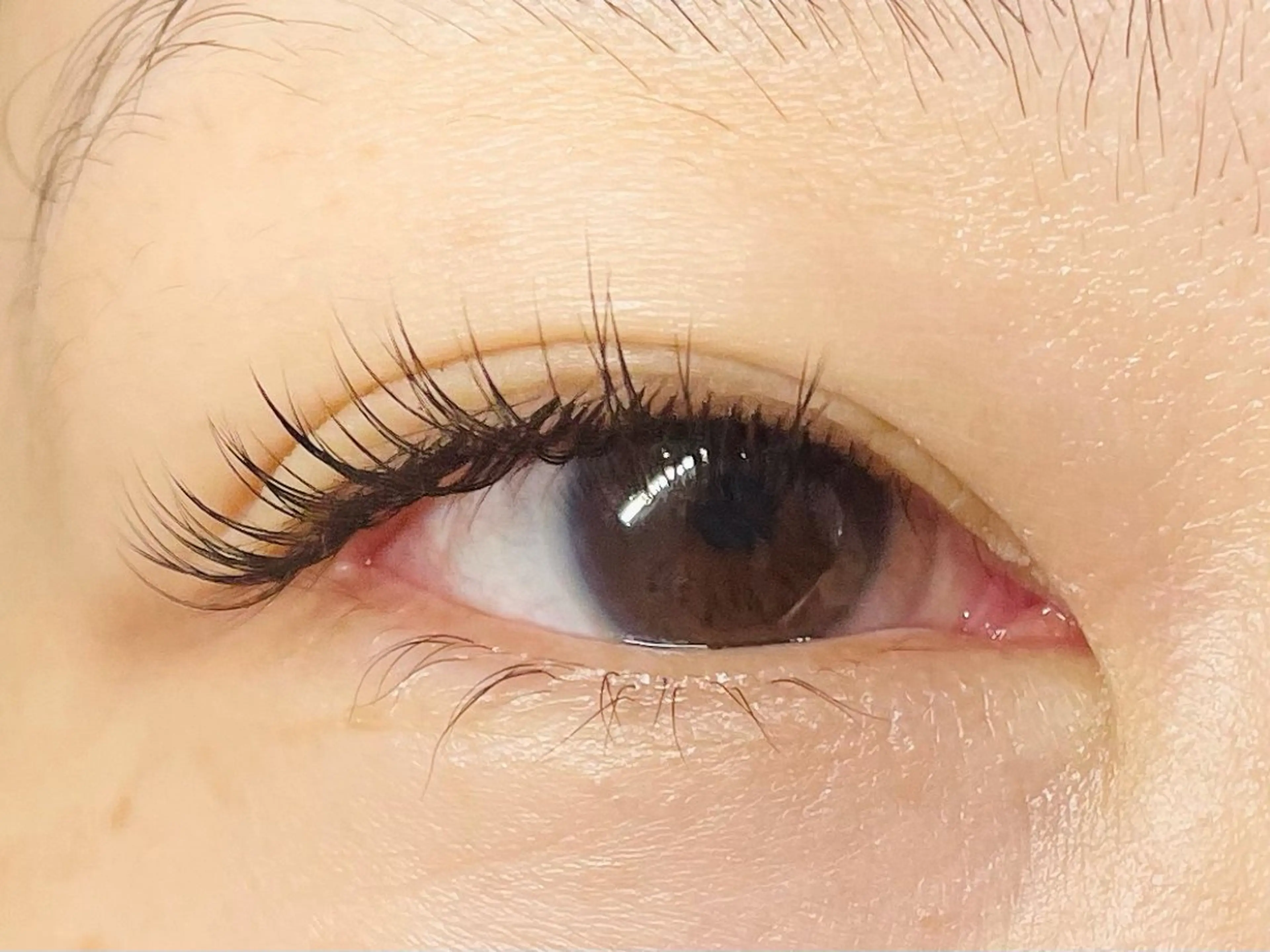 マツエク・マツパ マツエク 中村彩香 (エフドゥ)のマツエク・マツパデザイン