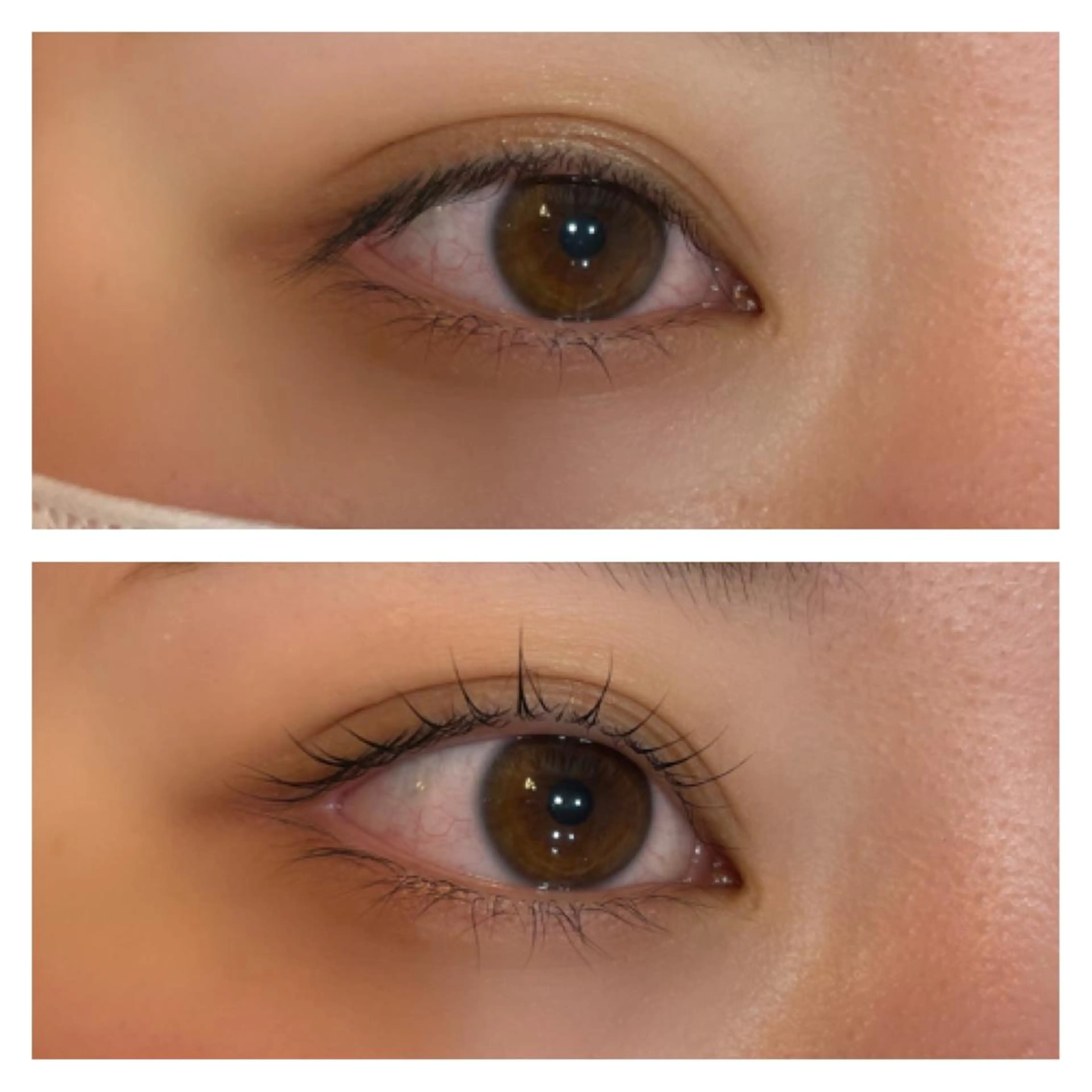 マツエク・マツパ まつげパーマ 🎀束感まつげ🎀 HONOKAの眉毛・アイブロウイメージ