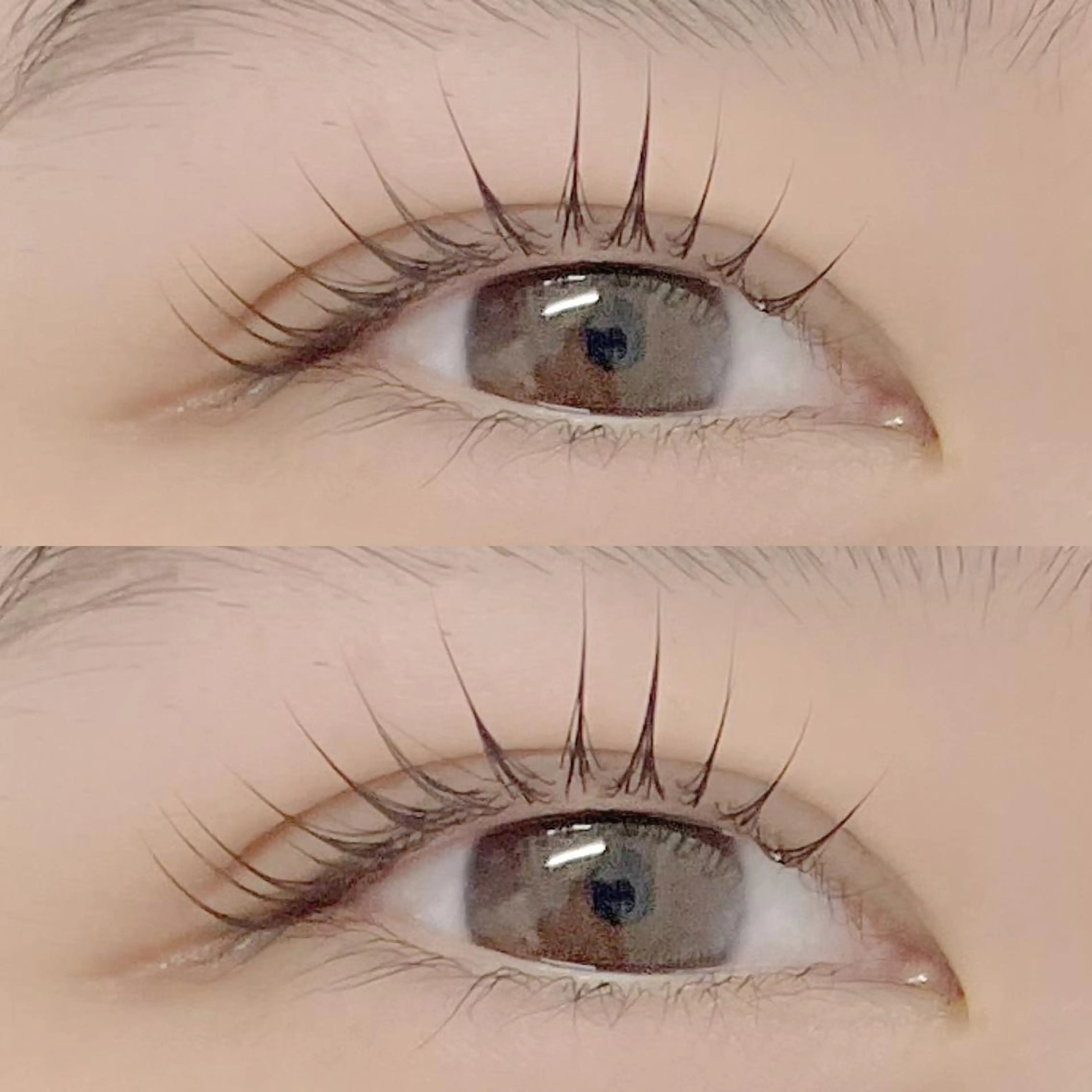 マツエク・マツパ まつげパーマ フジ ワラのマツエク・マツパデザイン