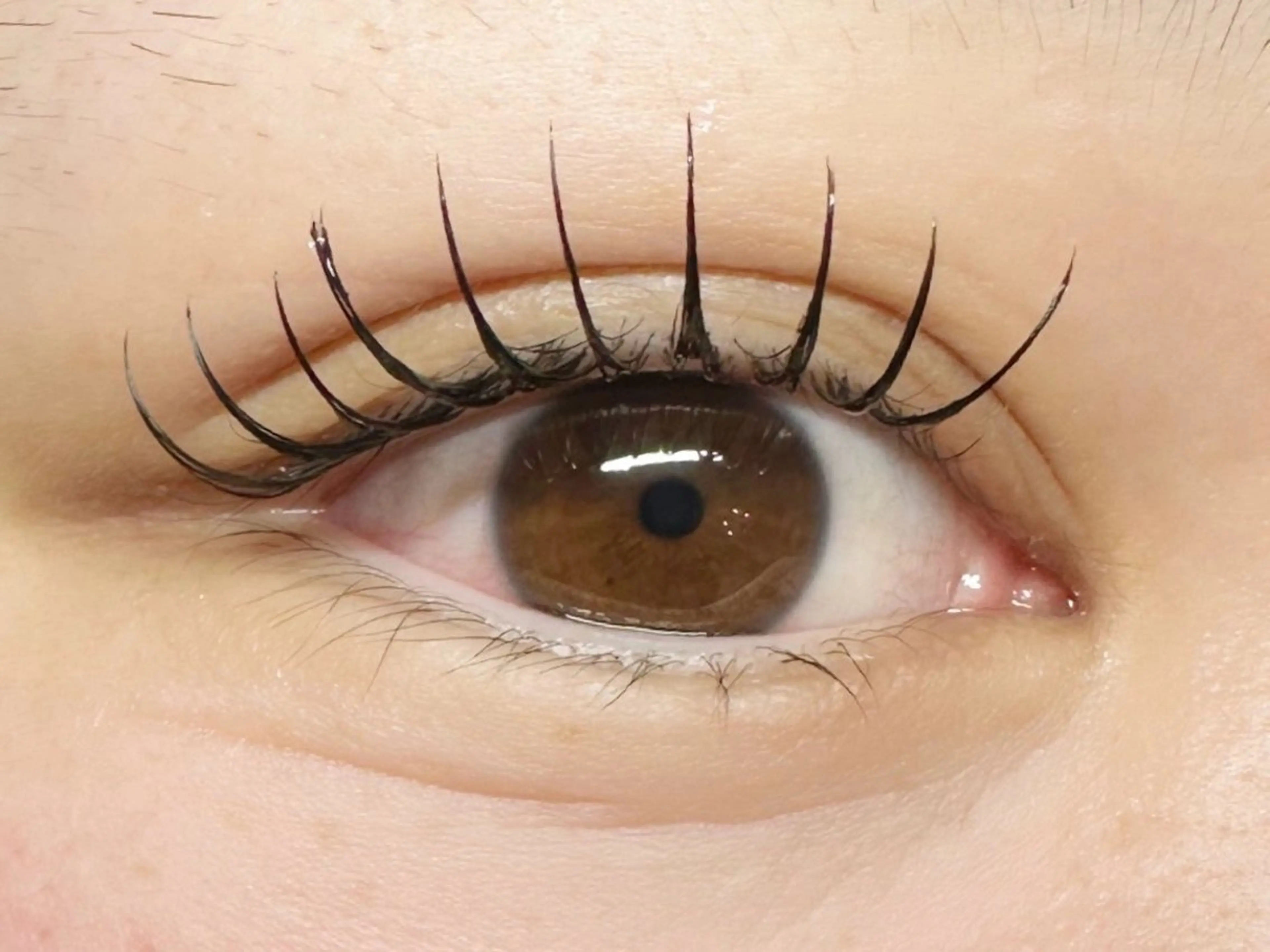 マツエク・マツパ アップワードラッシュ マツエク FLEUR eyelashsalon所属・FLEUR 【フルール】のマツエク・マツパデザイン