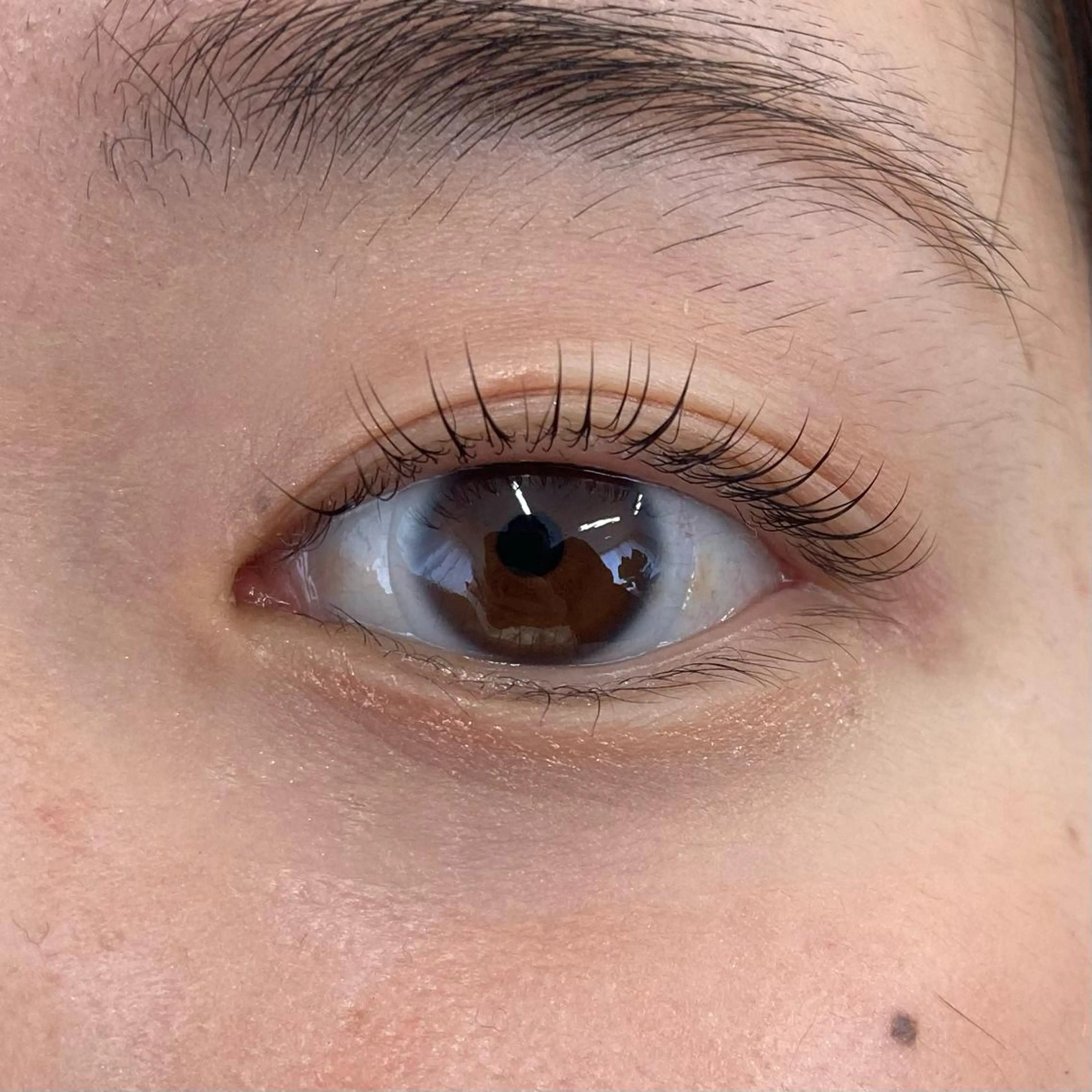 マツエク・マツパ マツパ THE BALM🐦 橋本♪のマツエク・マツパデザイン