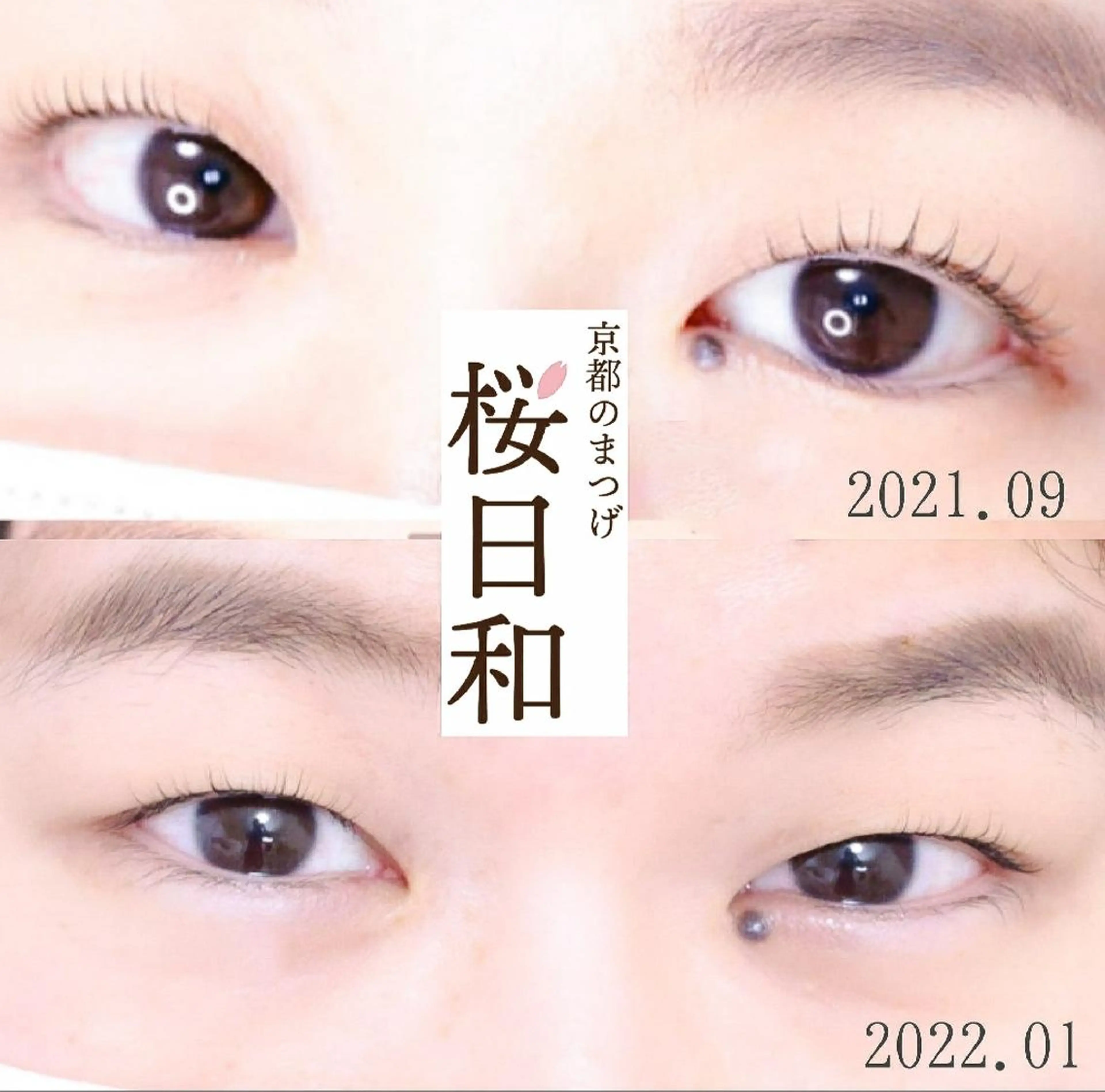 マツエク・マツパ Cカール カラーマツエク フラットラッシュ パリジェンヌラッシュリフト まつげパーマ 京都のまつげ桜日和 小島美桜のマツエク・マツパデザイン