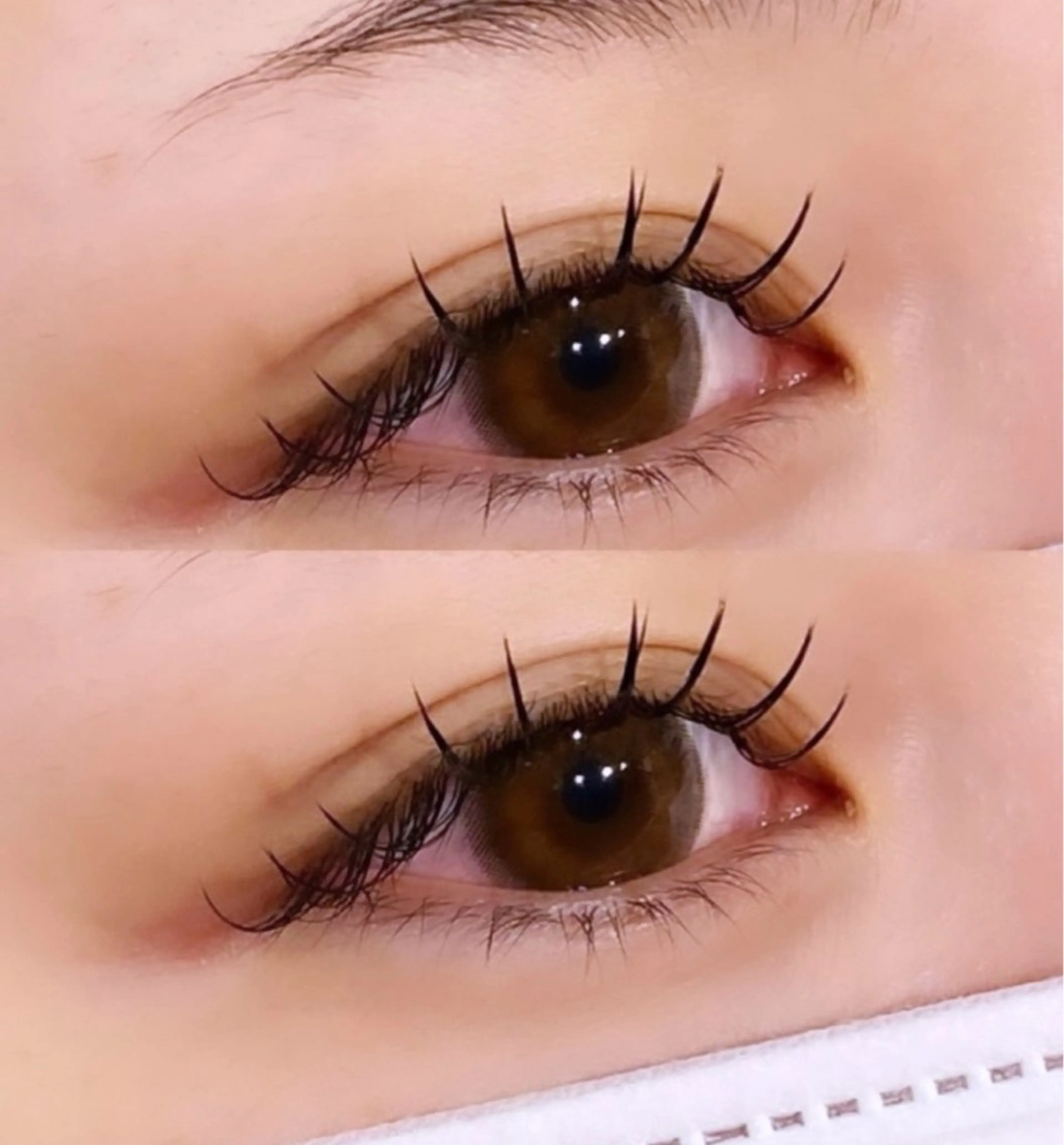 マツエク・マツパ Cカール キュート マツエク 宮本 麻央🎀🪽のマツエク・マツパデザイン