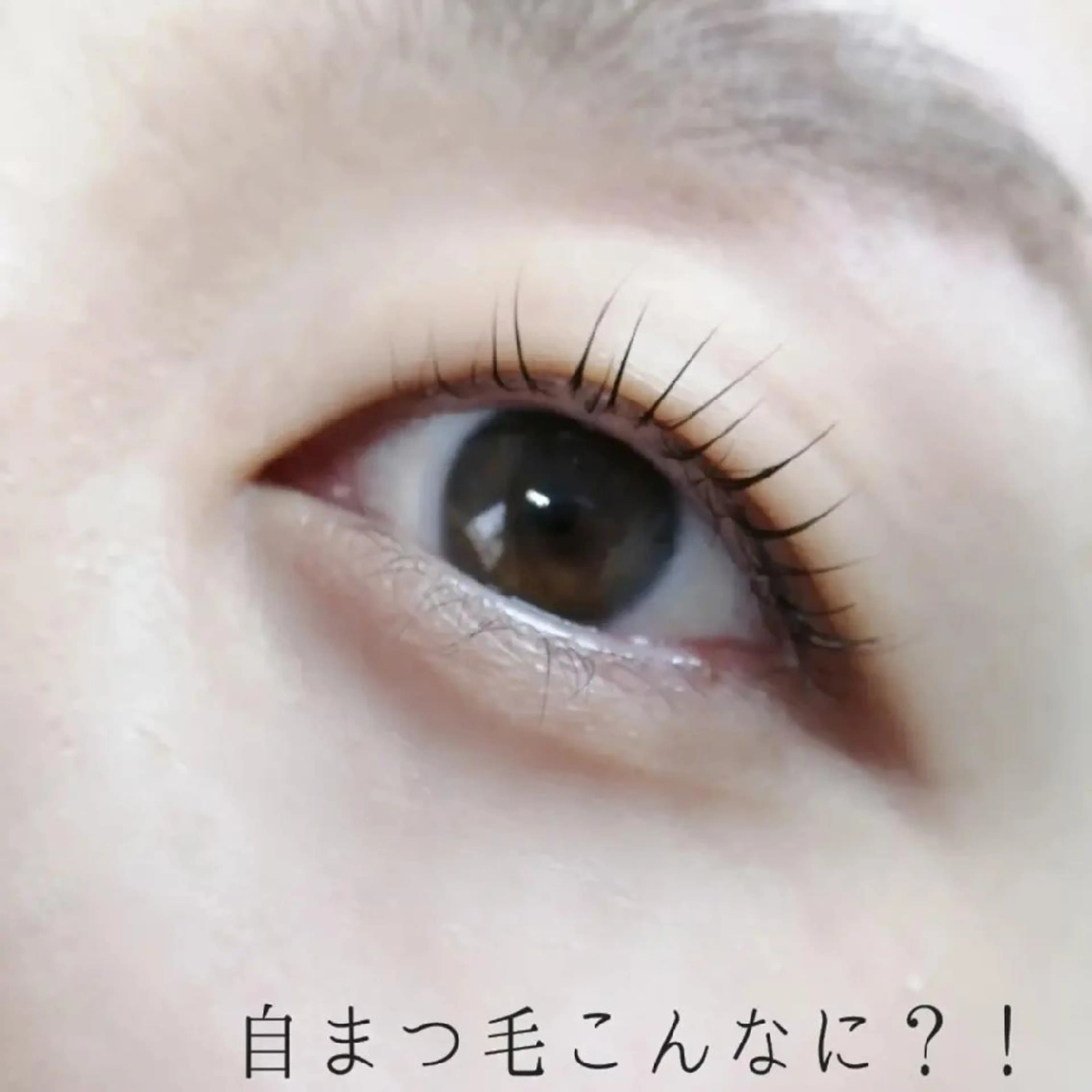 マツエク・マツパ アイブロウ eyelashsalon calin所属・アイラッシュサロン カリンのマツエク・マツパデザイン