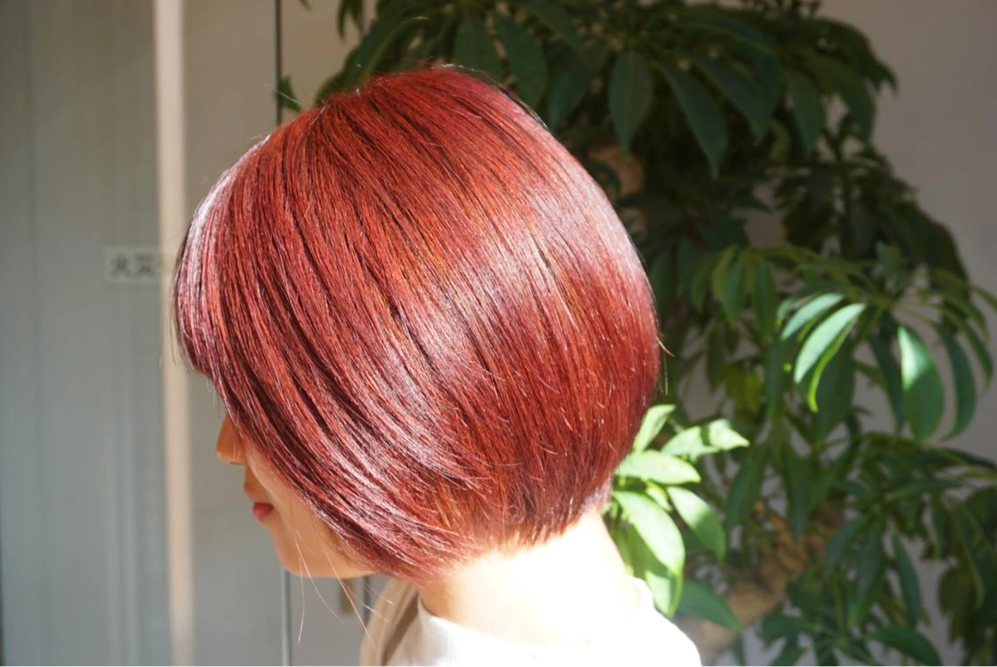 ショート カラー ピンクカラー Graph. （グラフ）立川🪽✨のヘアスタイル