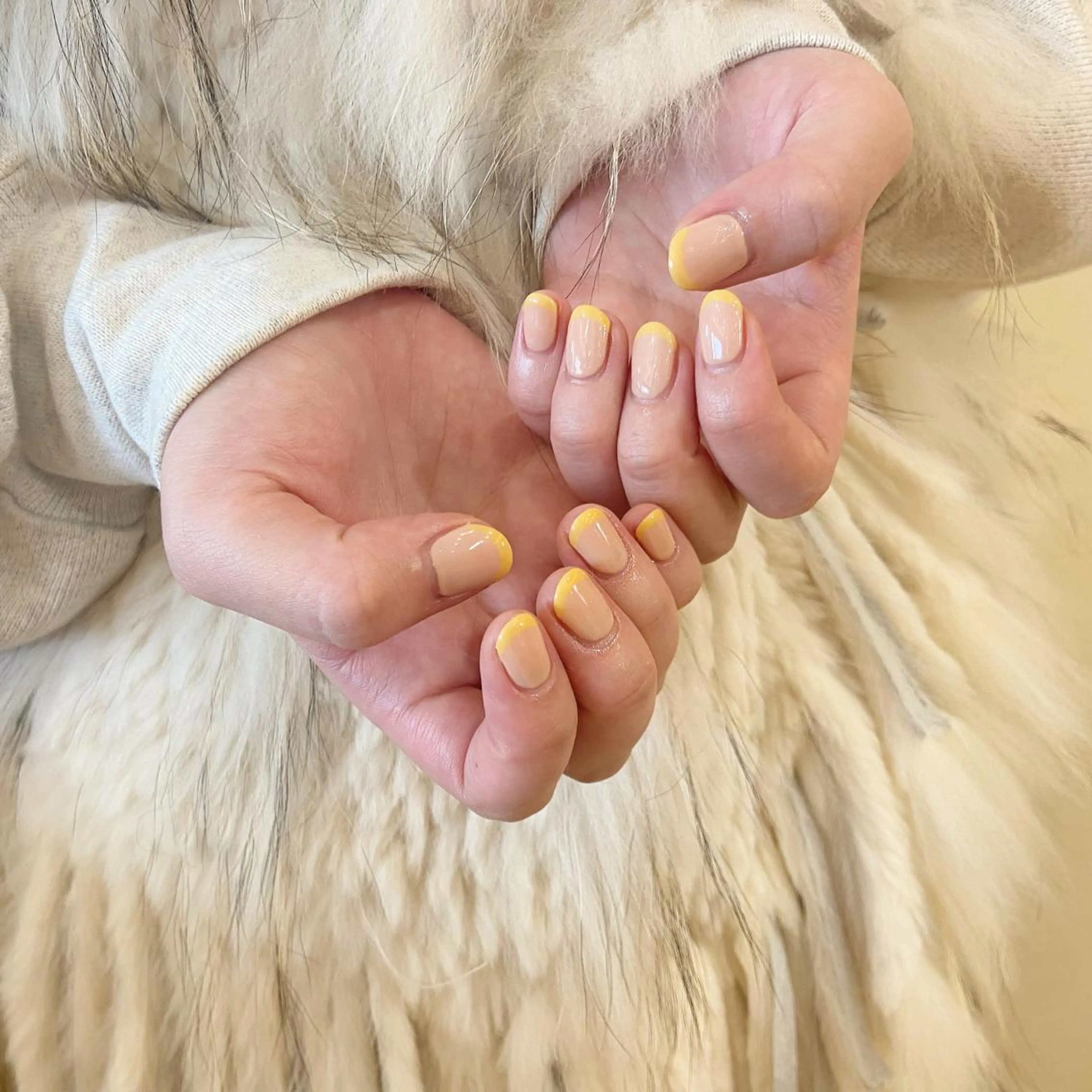 ネイル ハンドネイル 𝕄𝕚𝕪𝕦🤍 自由が丘⌇パラジェルのネイルデザイン