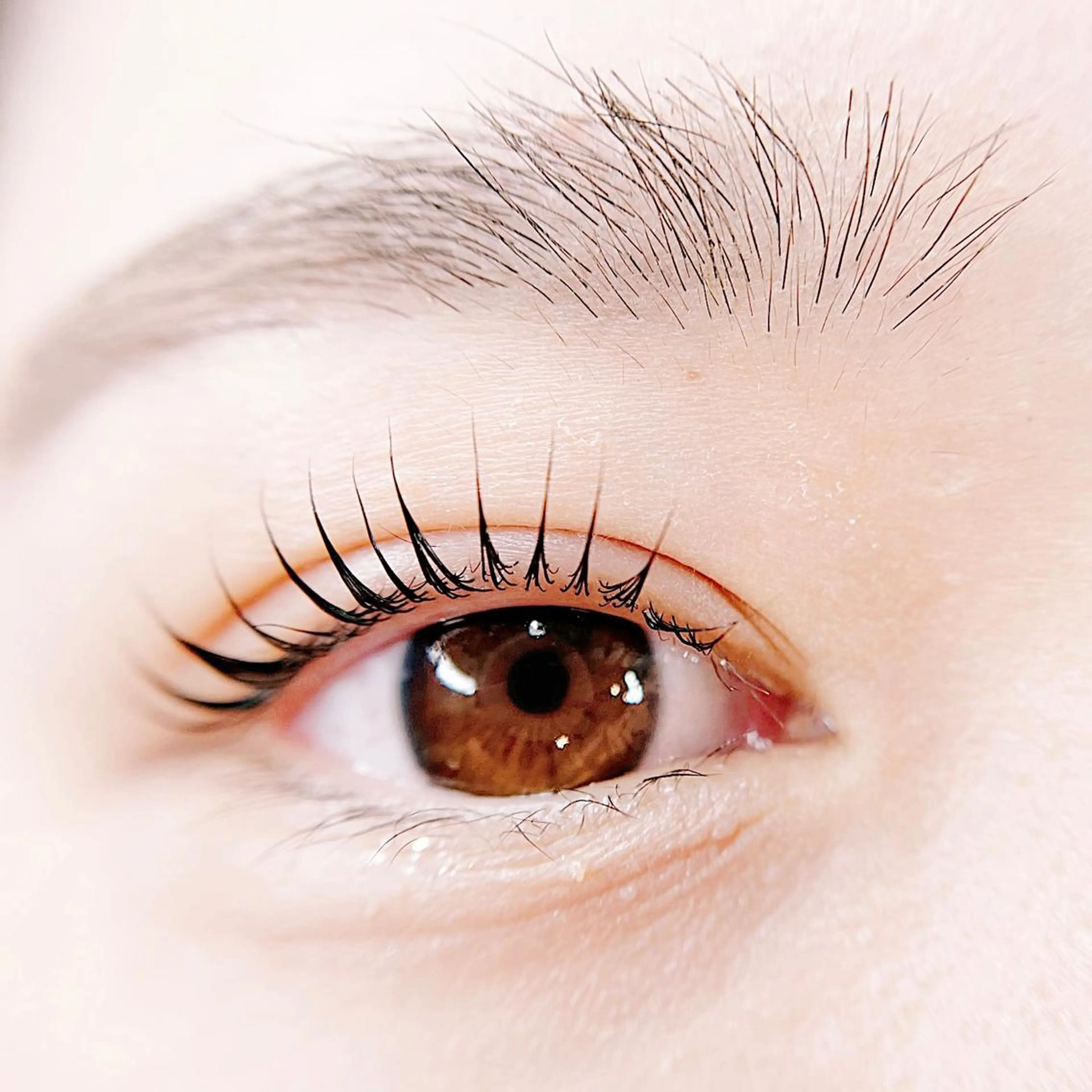 マツエク・マツパ マツパ toyoda hitomiのマツエク・マツパデザイン