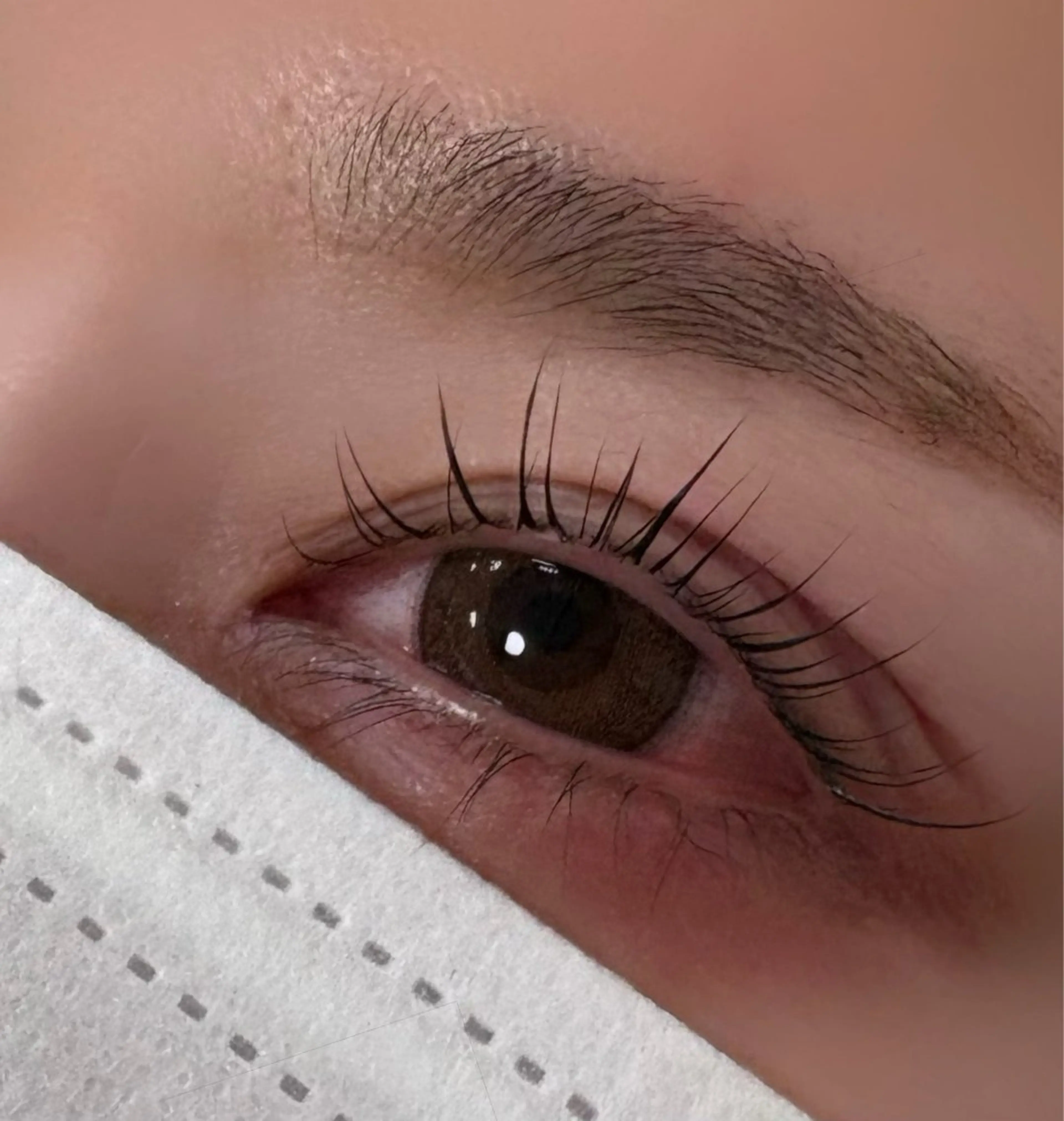 マツエク・マツパ マツパ Seek Dea / mao🎀のマツエク・マツパデザイン