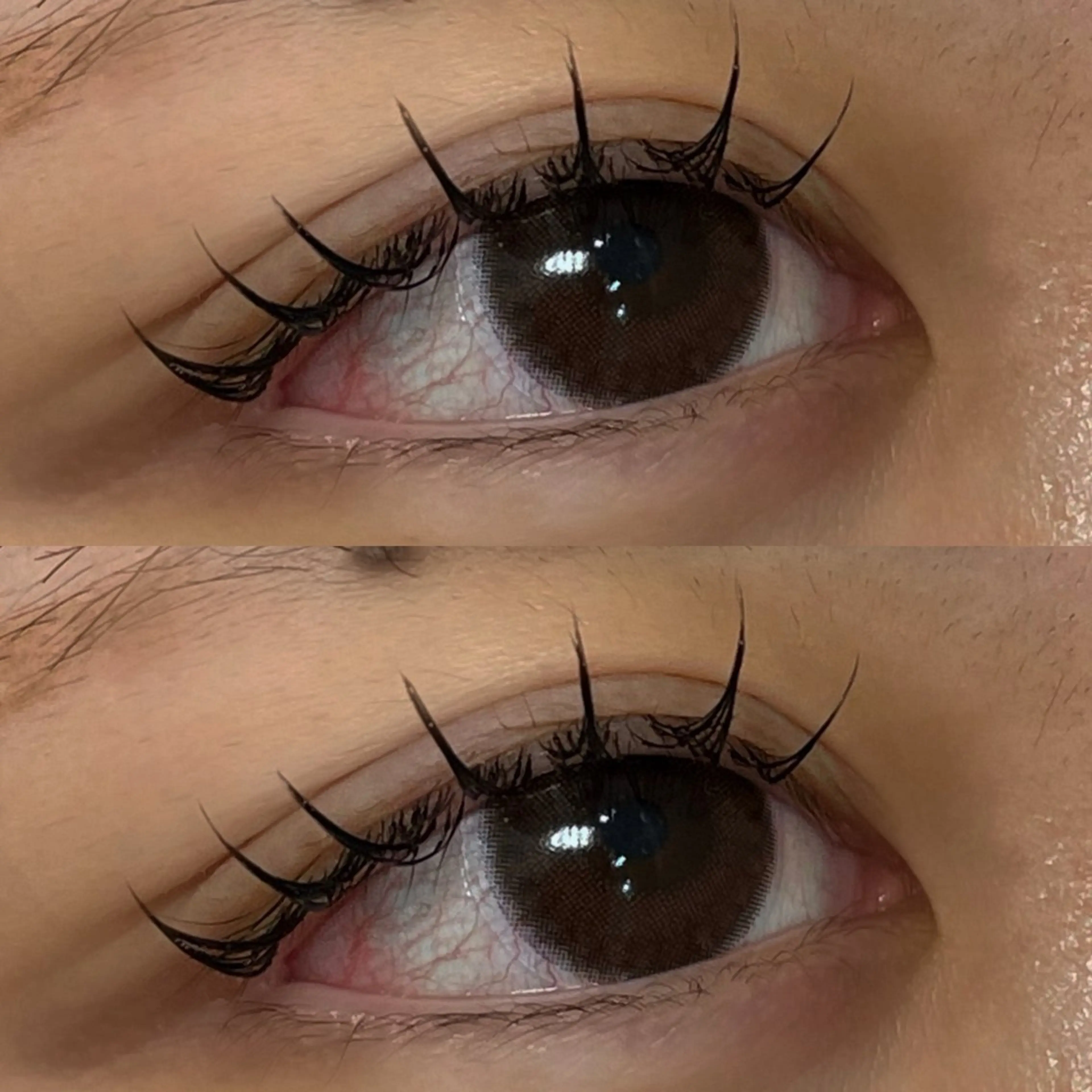 マツエク・マツパ フラットラッシュ arbis Morotaのマツエク・マツパデザイン