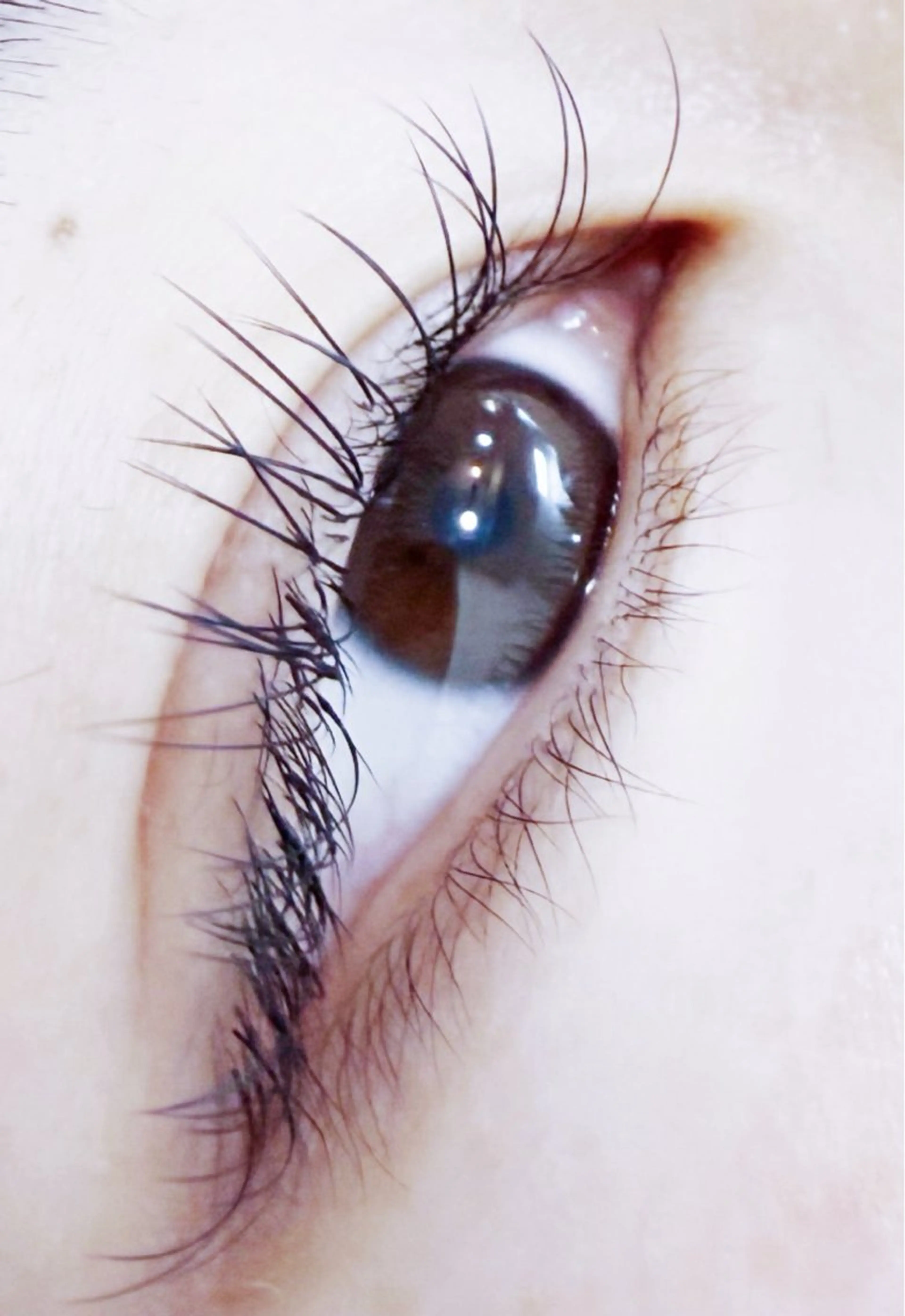 マツエク・マツパ フラットラッシュ EYELA 𝑴𝑨𝑯𝑶🍒のマツエク・マツパデザイン