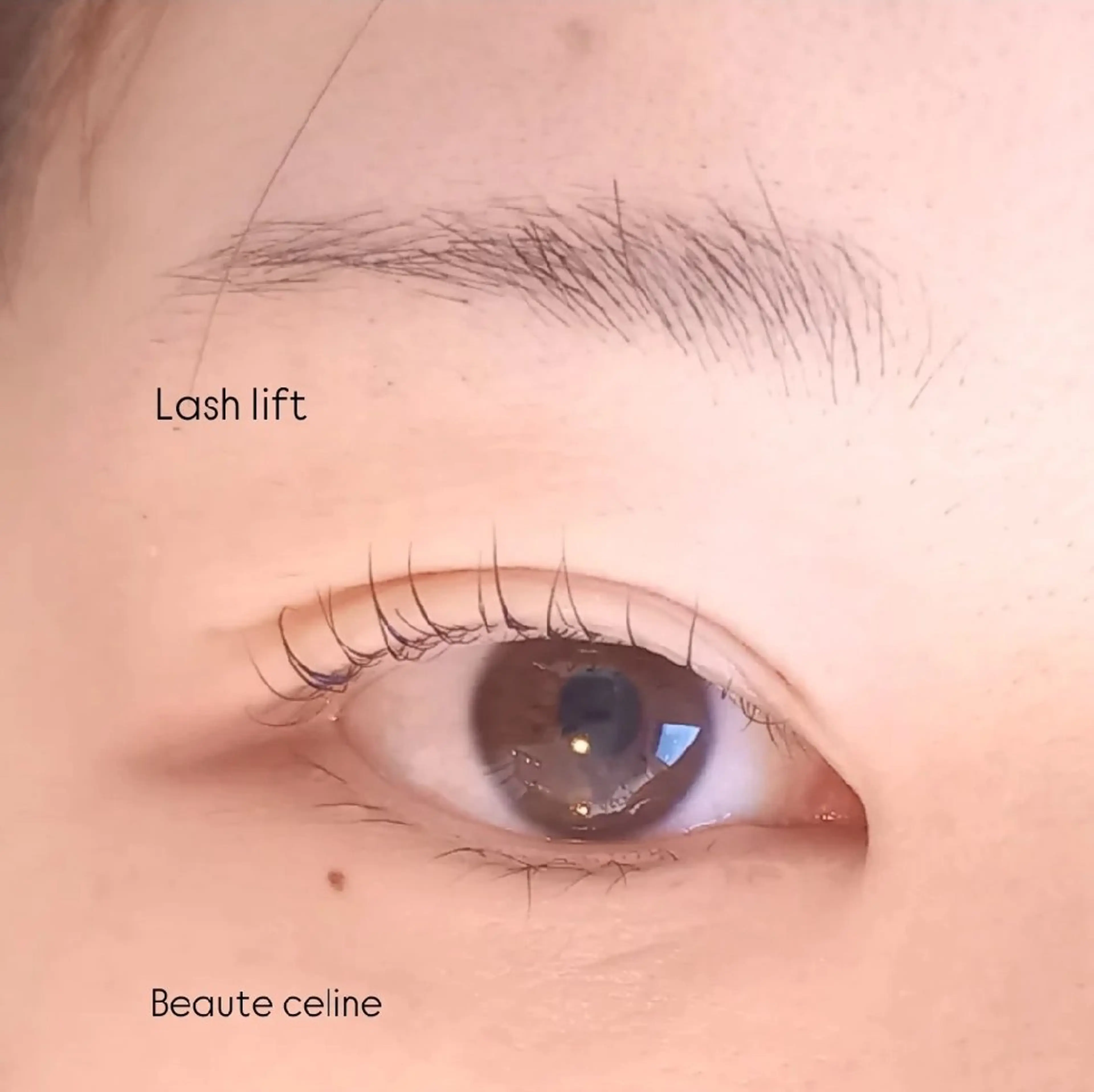 マツエク・マツパ beaute.celine所属・8時～✨beaute Celine🌛🌹のマツエク・マツパデザイン