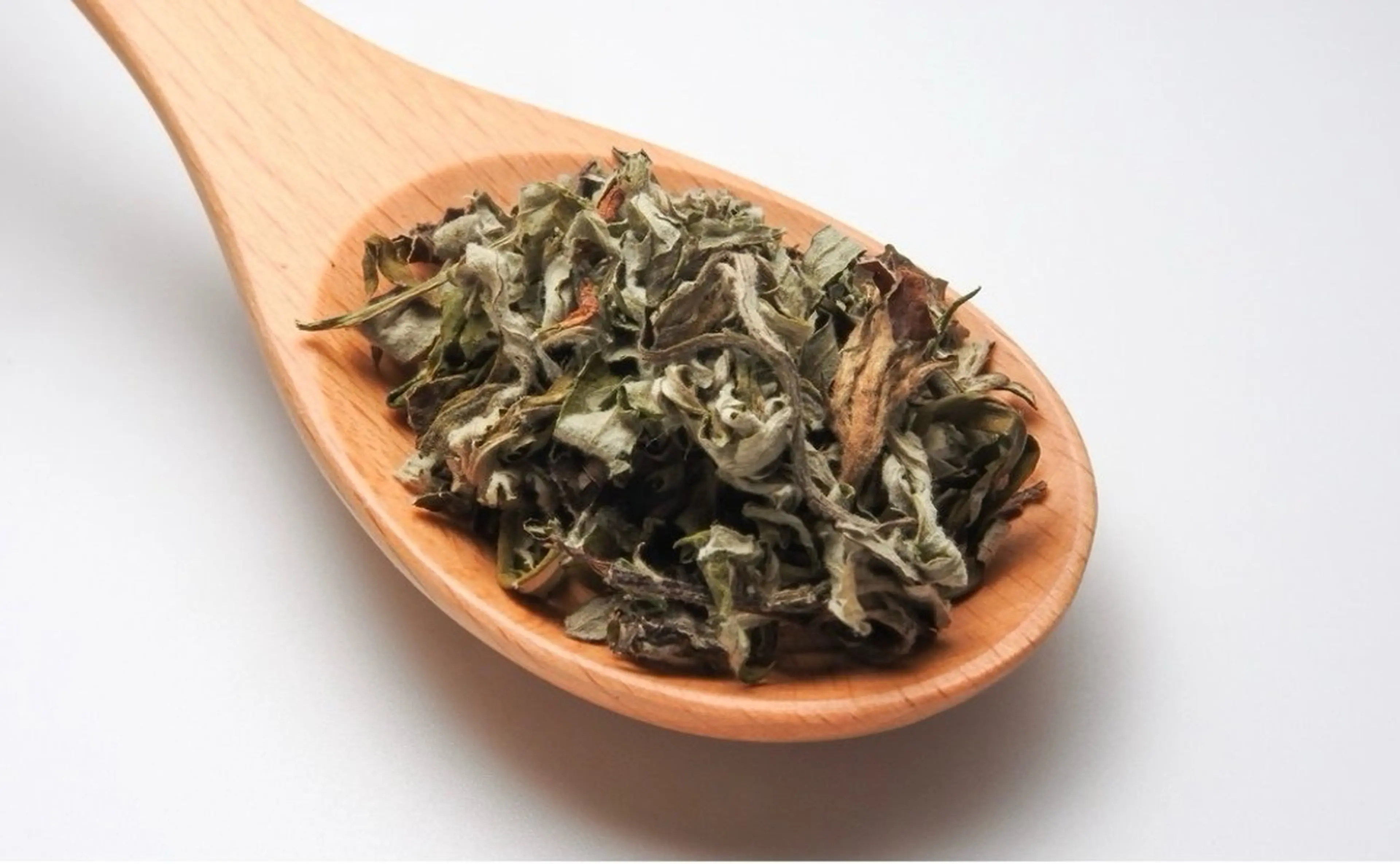 よもぎ蒸し40分✨血行促進コースの写真