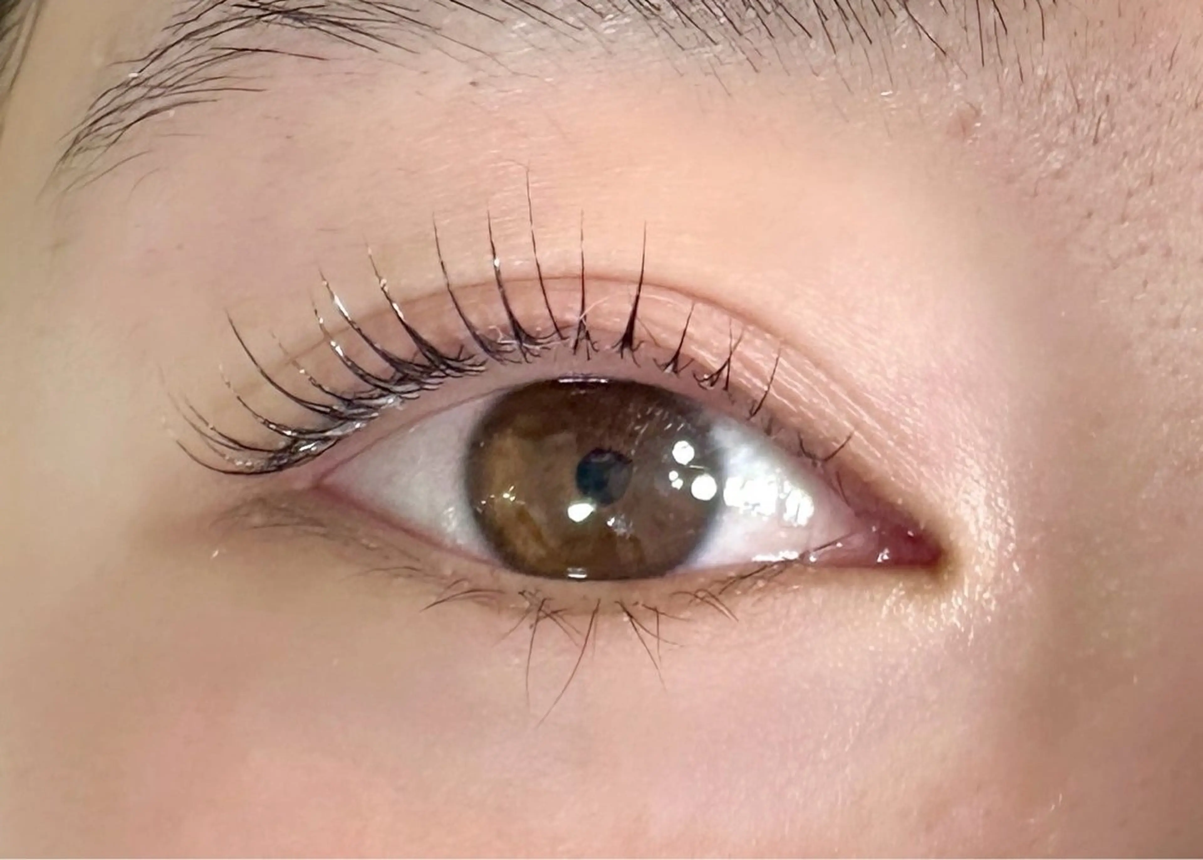 【まつげパーマ★ダウン×ラッシュ】メーテルラッシュの写真