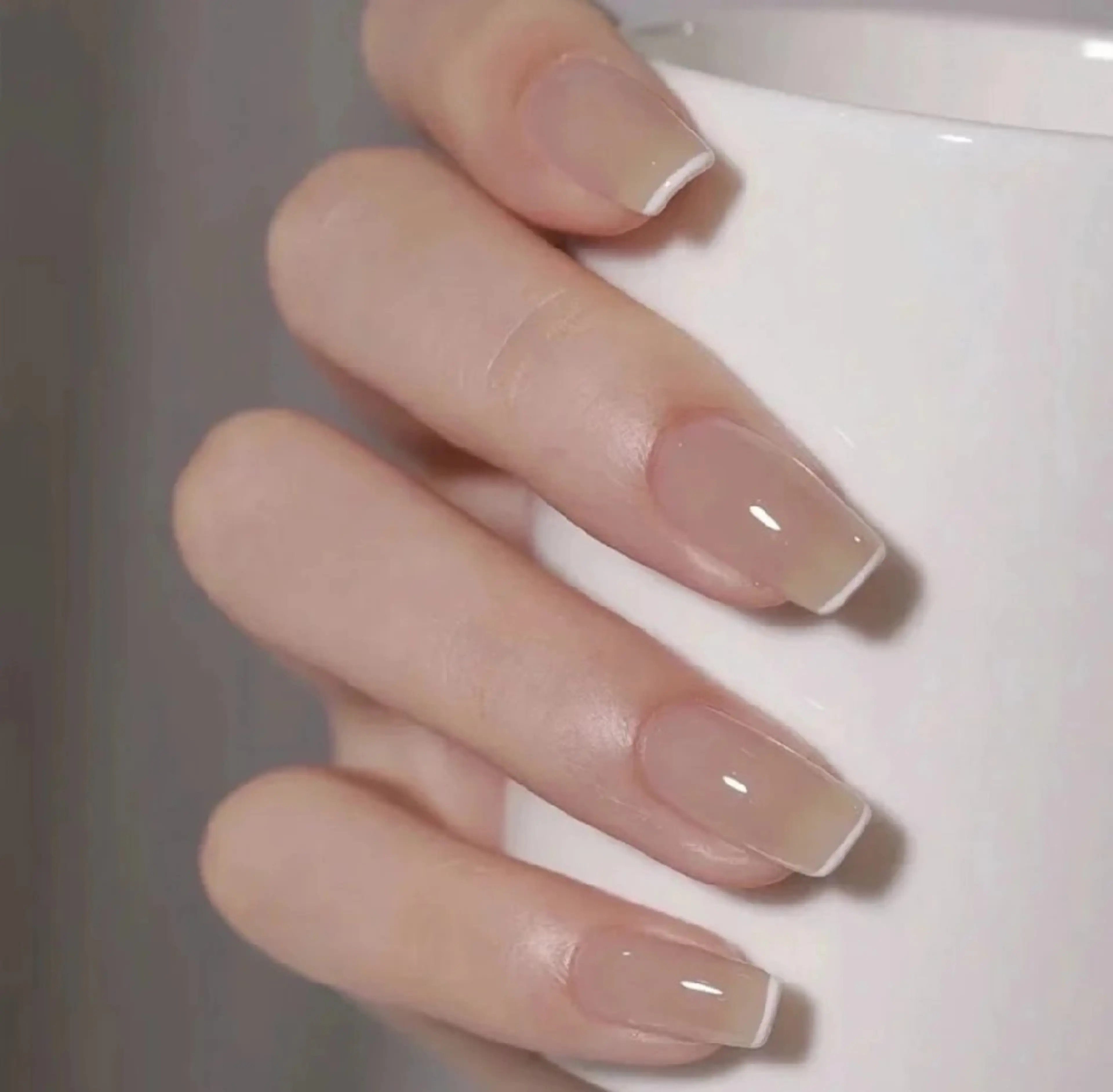 スキ二ーフリンチの写真