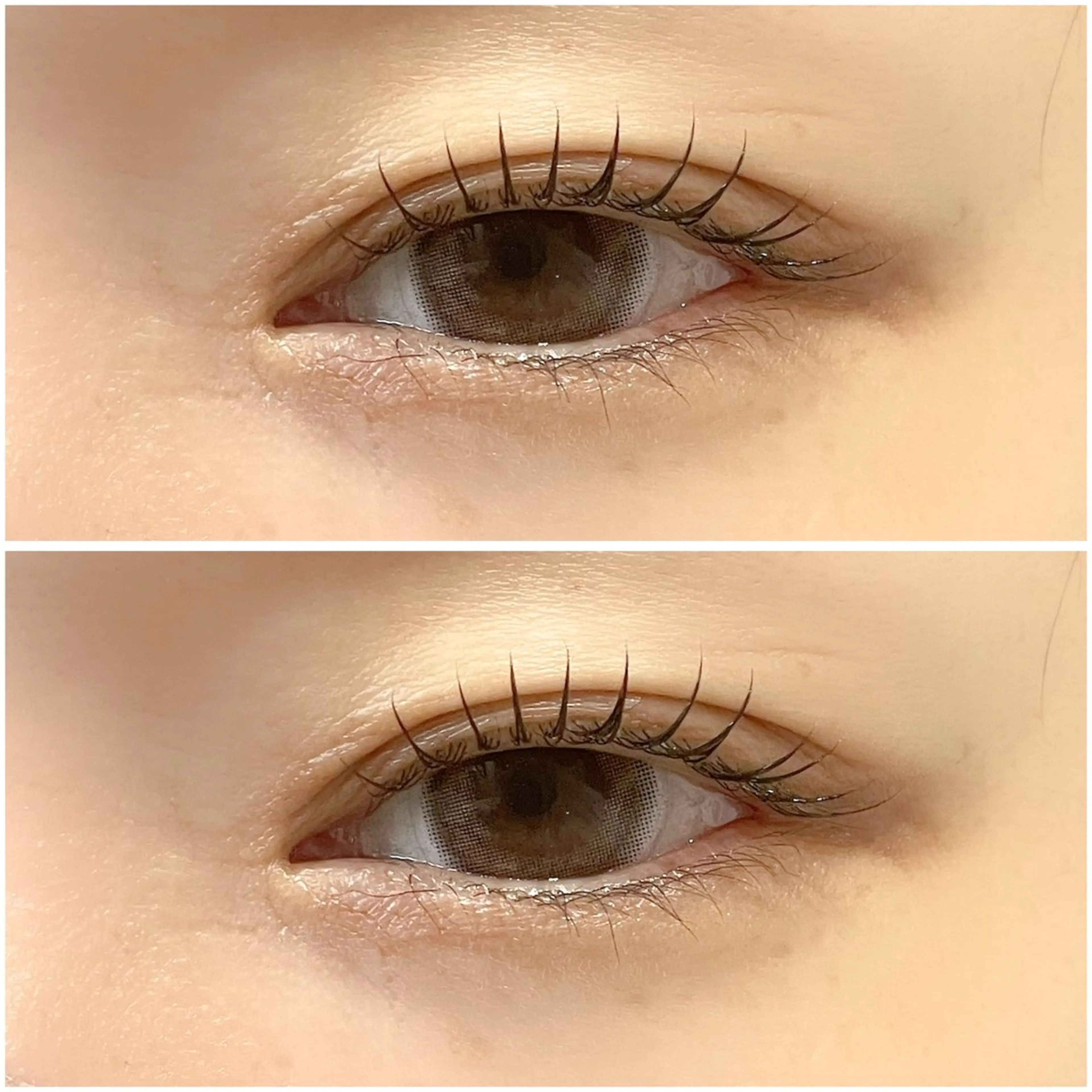 マツエク・マツパ 一重×まつ毛パーマ マツパ 🤍Anna仙台店 田代 美咲‎🤍のマツエク・マツパデザイン