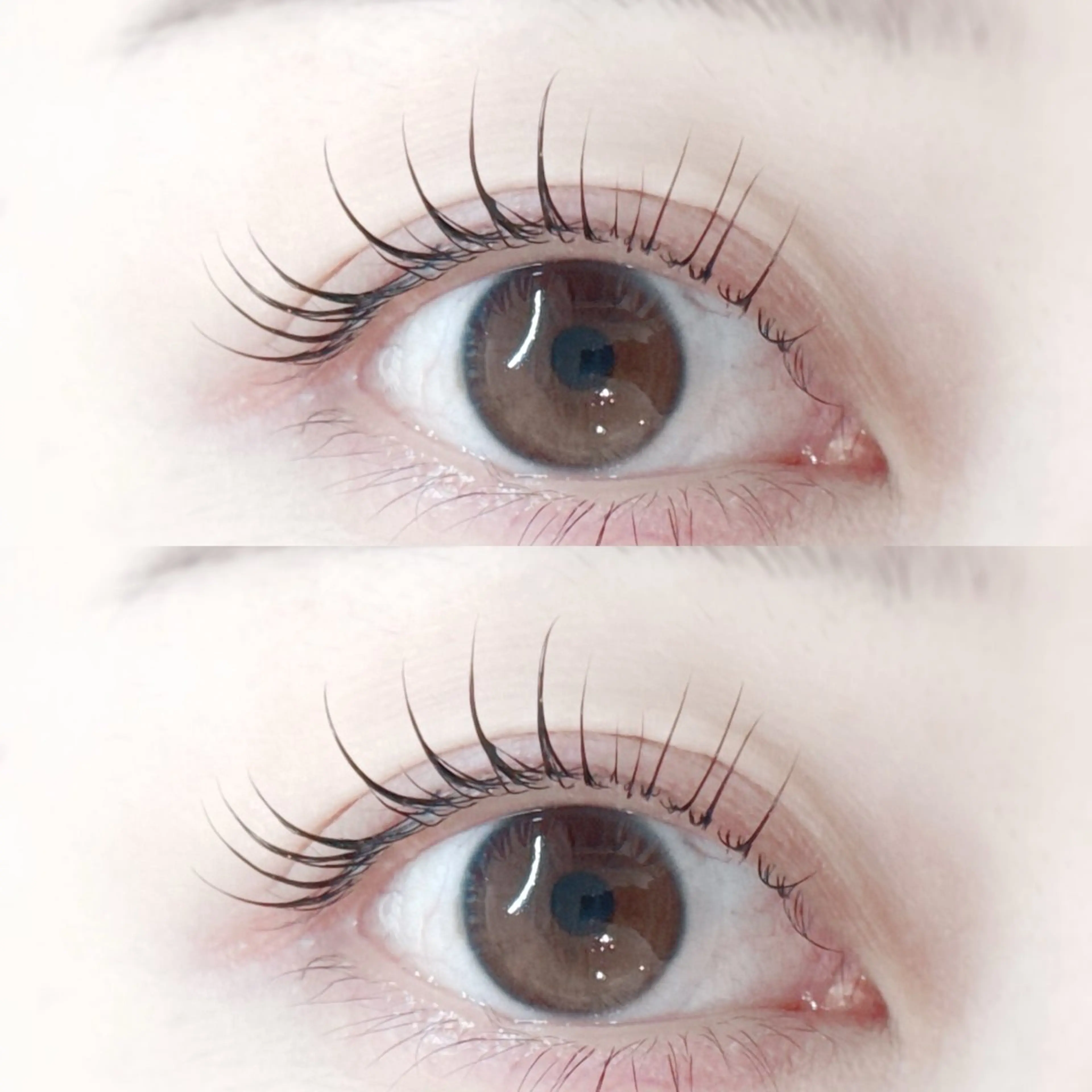 マツエク・マツパ 一重×まつ毛パーマ アイブロウ/HBL 🦄MEMEの眉毛・アイブロウイメージ