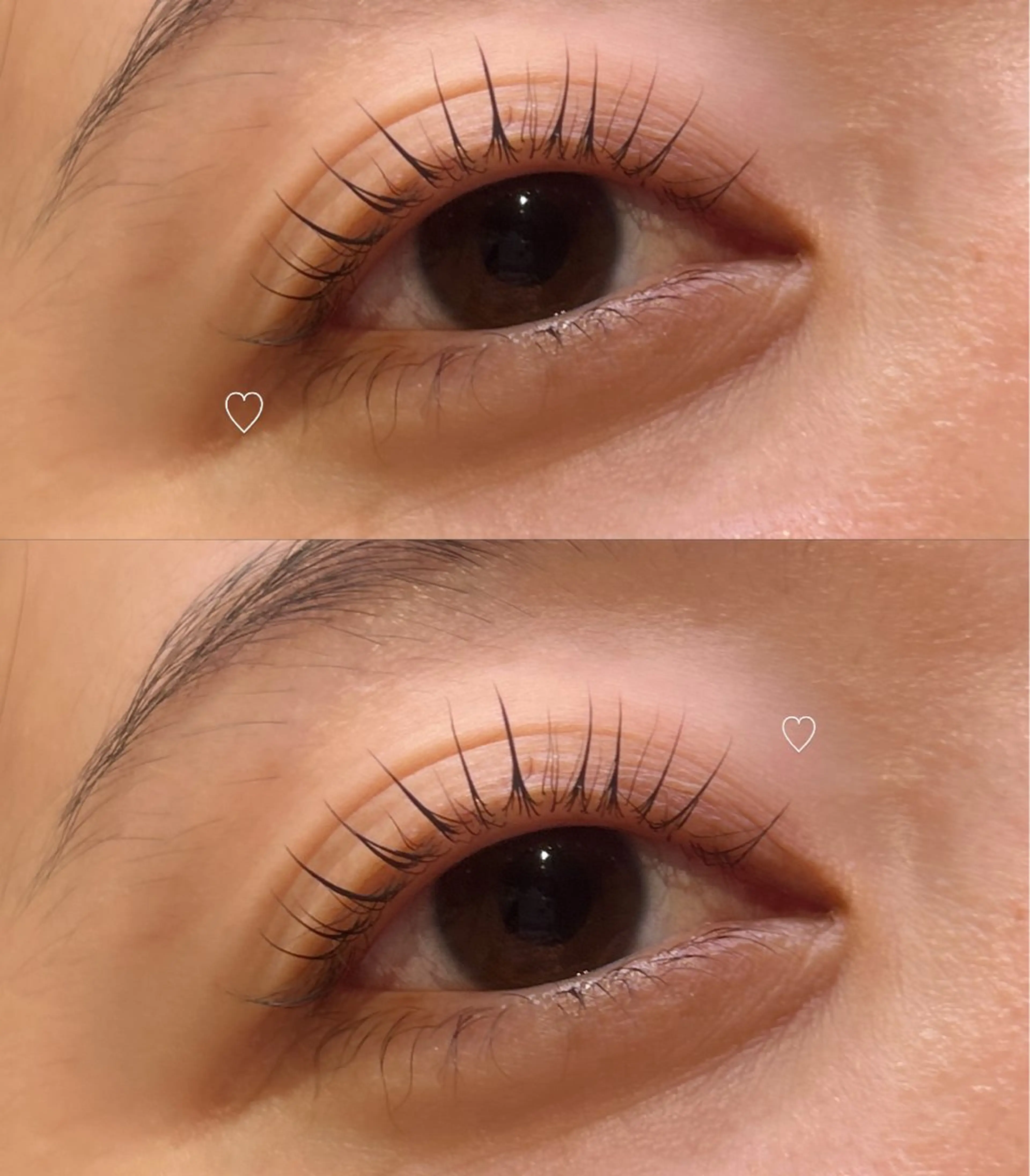 3回目まで🪽ラッシュリフト 美容液コーティング付き🍓♪の写真