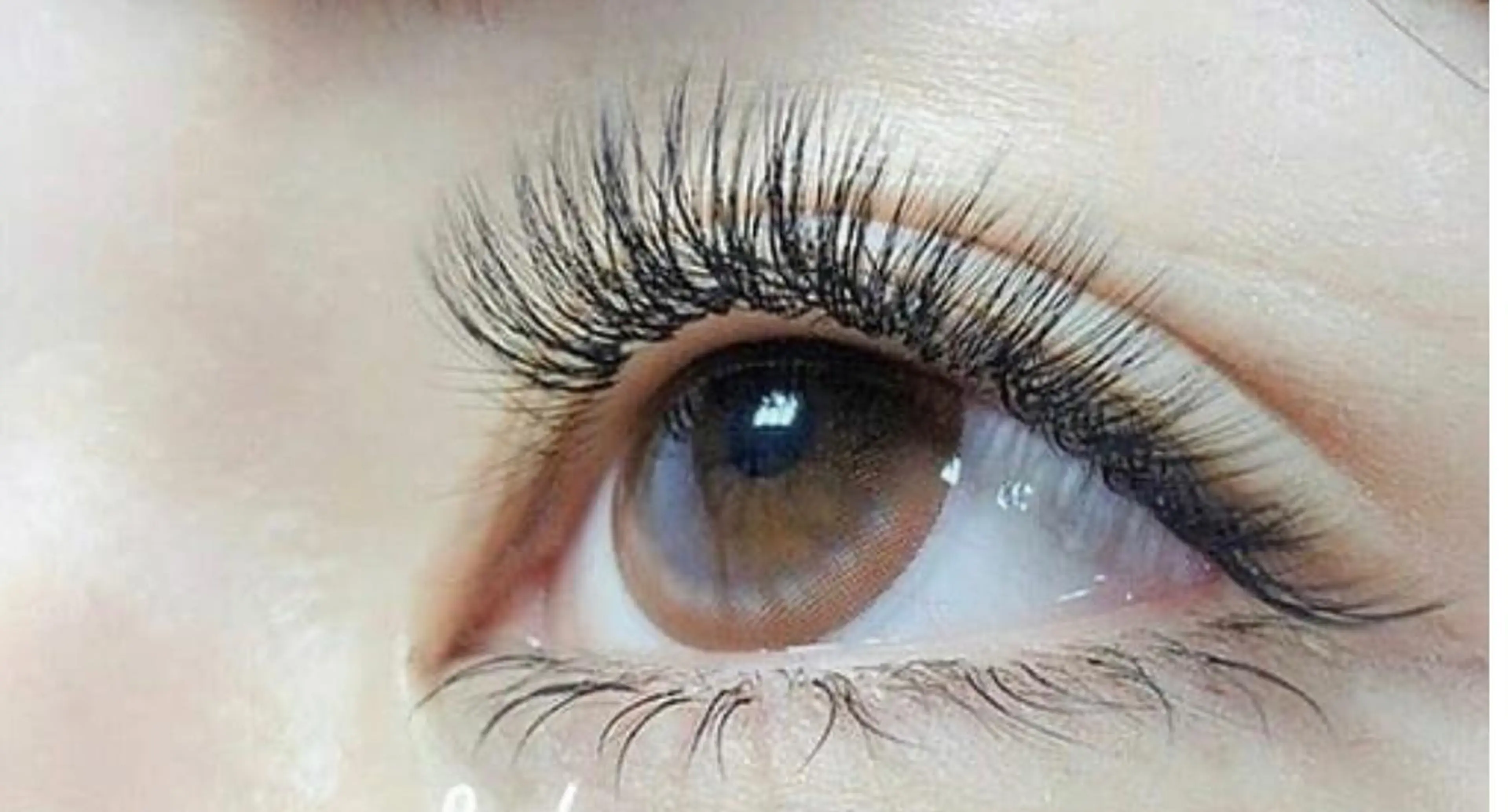 🍀3Dボリュームラッシュ100束(300本)の写真