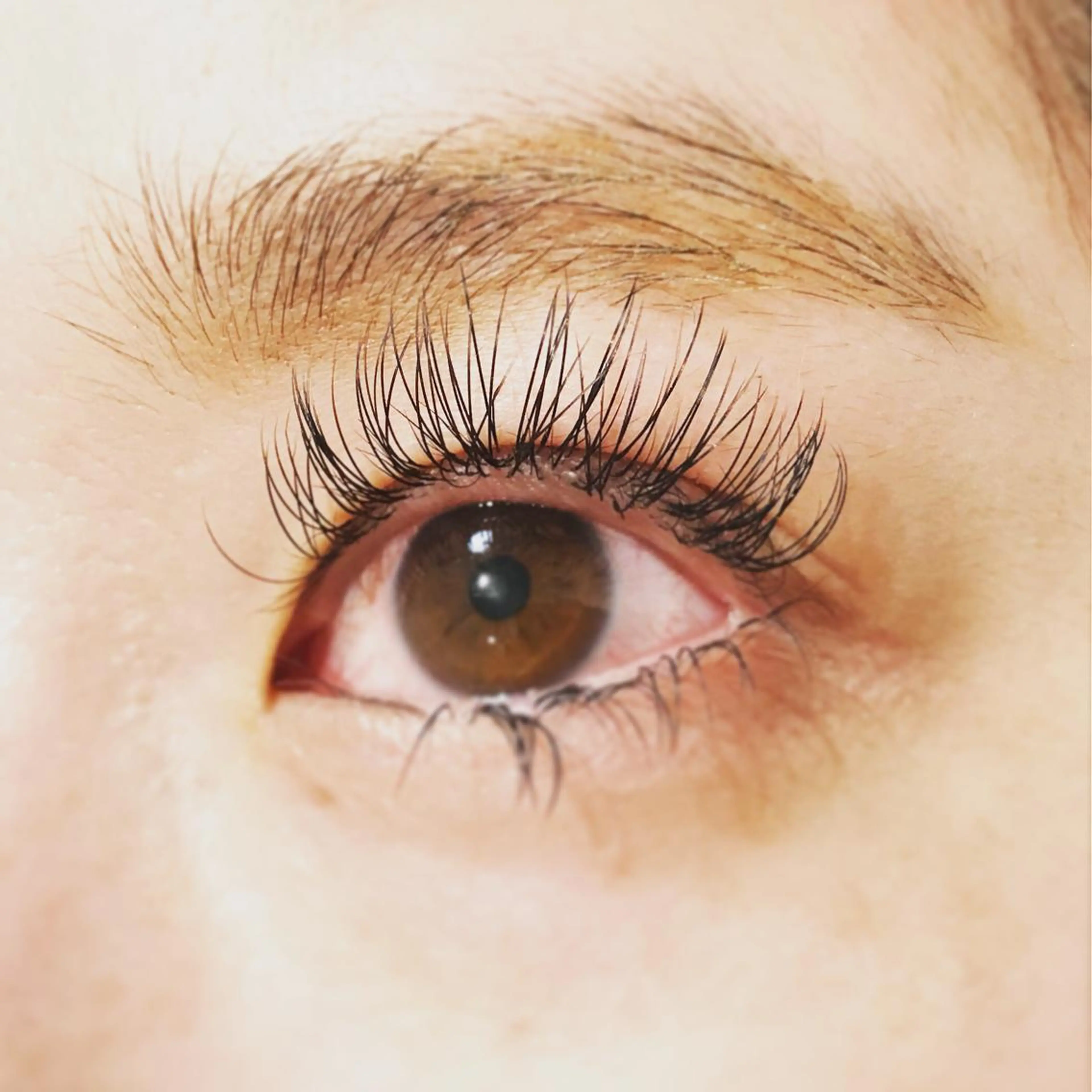 マツエク・マツパ にっくに ちひろの眉毛・アイブロウイメージ