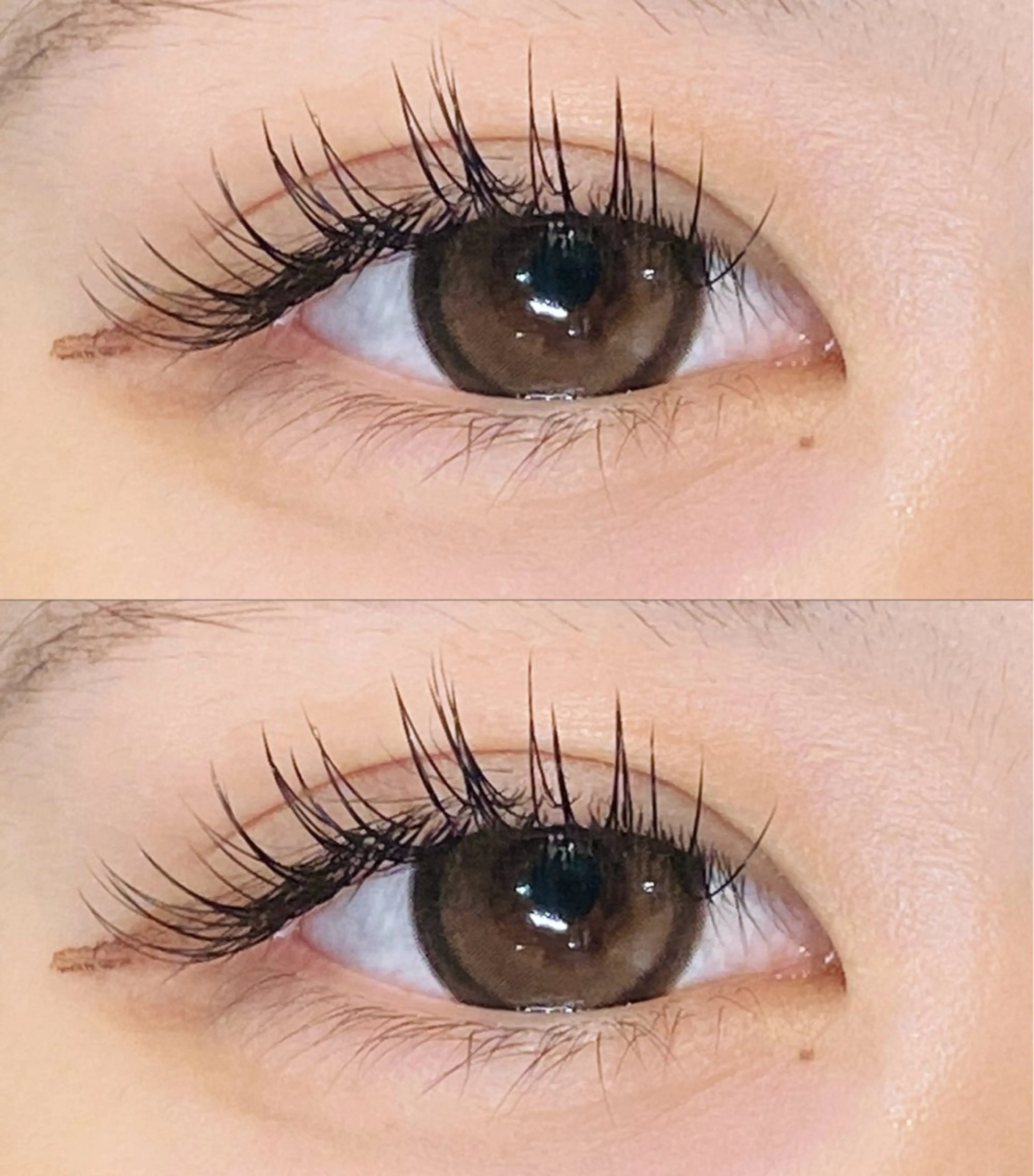 マツエク・マツパ フラットラッシュ セーブル eyelist🌹 Harunaのマツエク・マツパデザイン