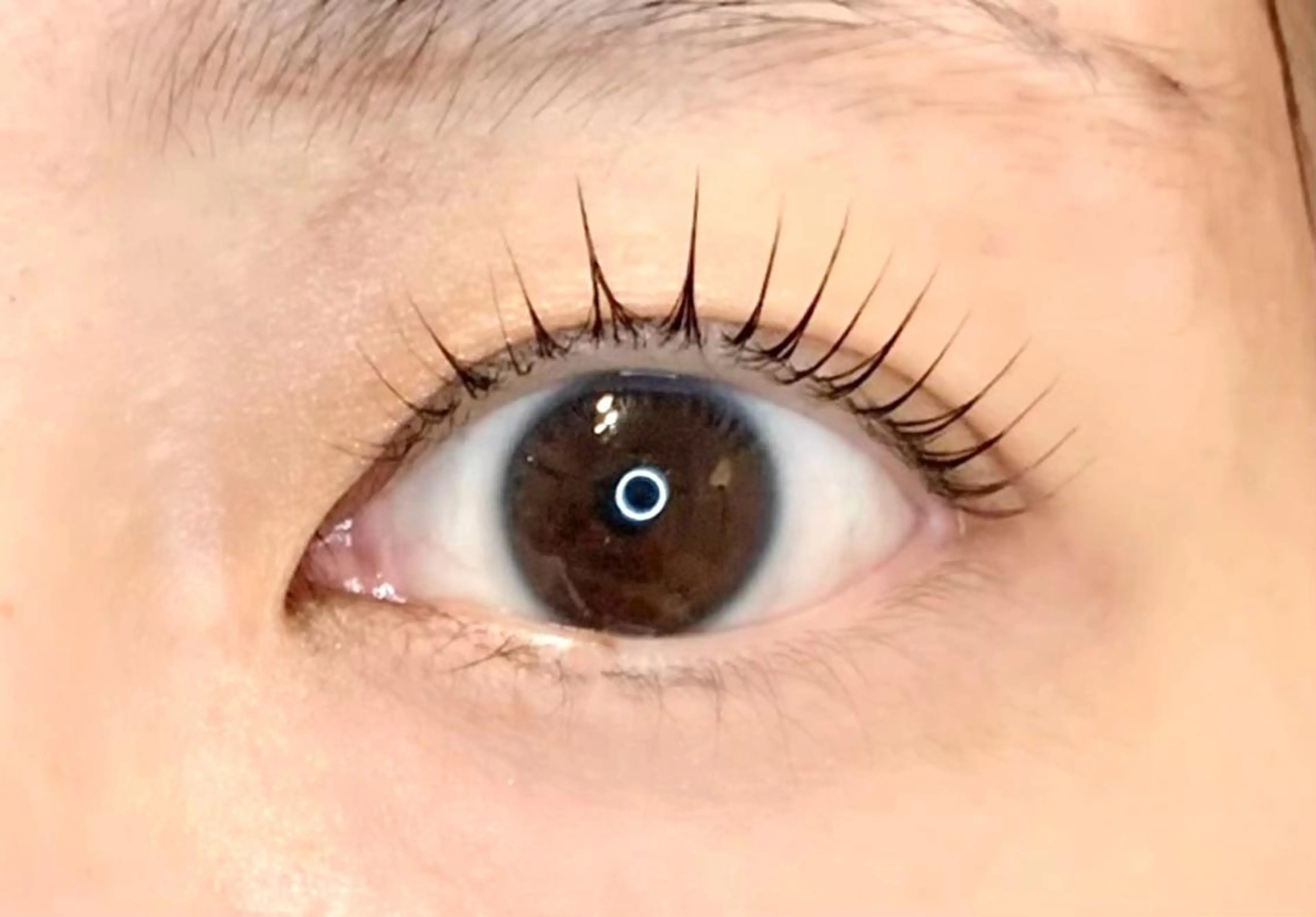 マツエク・マツパ beauty salon EL所属・beauty salon ELのマツエク・マツパデザイン