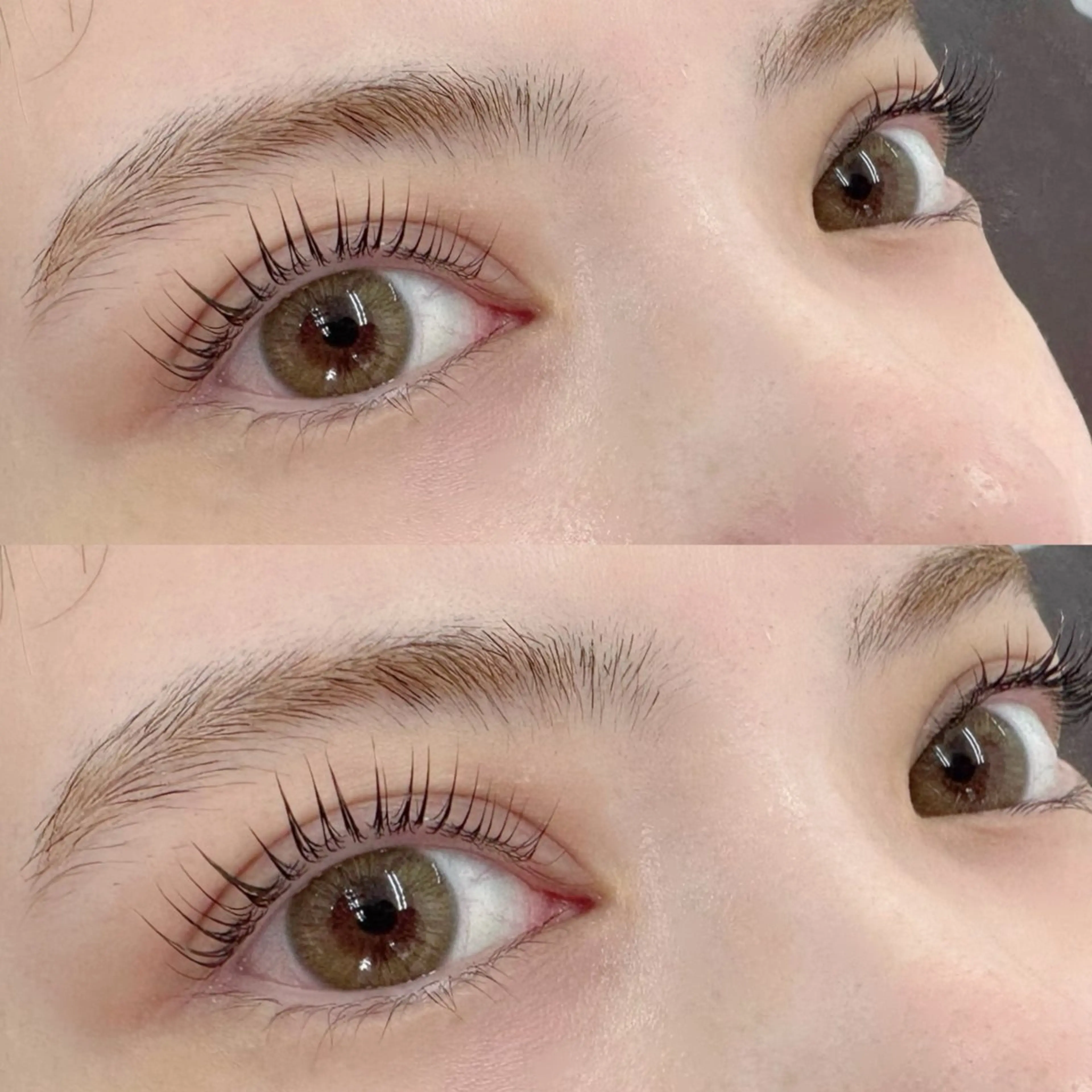 〈ご新規様限定✨️〉パリジェンヌラッシュリフト💎北浦和の写真