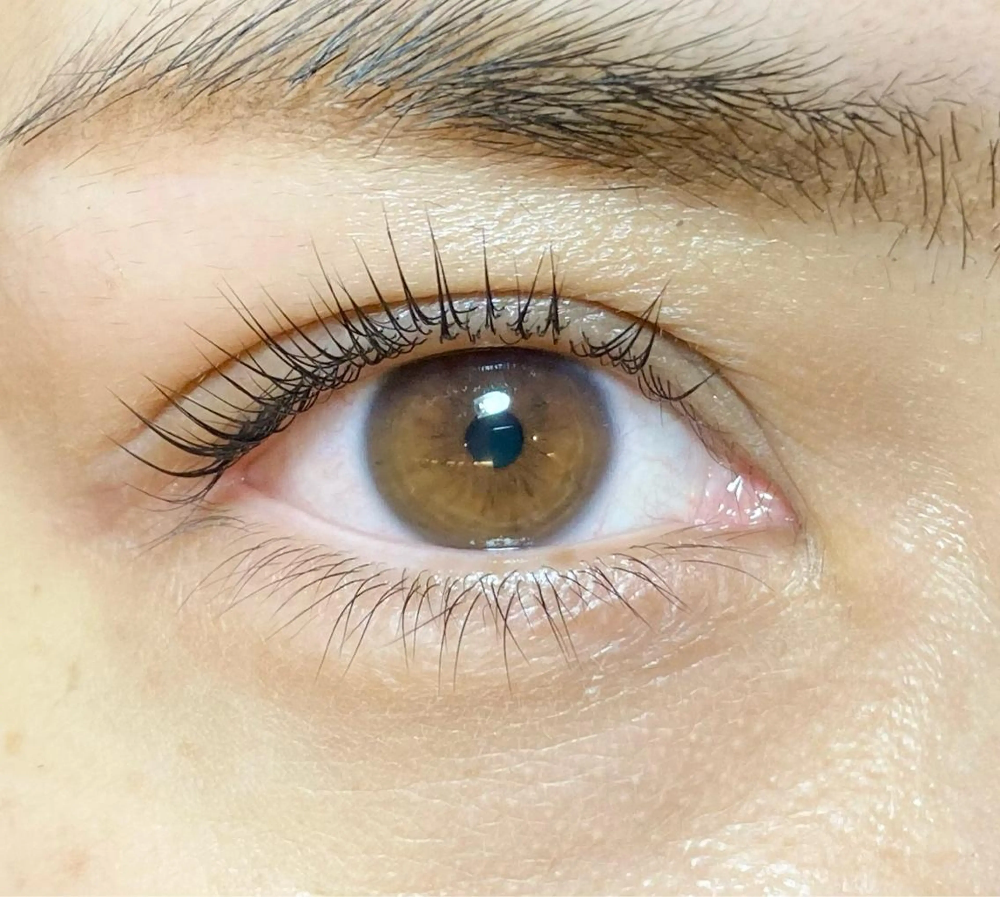 キッズ マツエク・マツパ パリジェンヌラッシュリフト sola: neolive出沼のマツエク・マツパデザイン