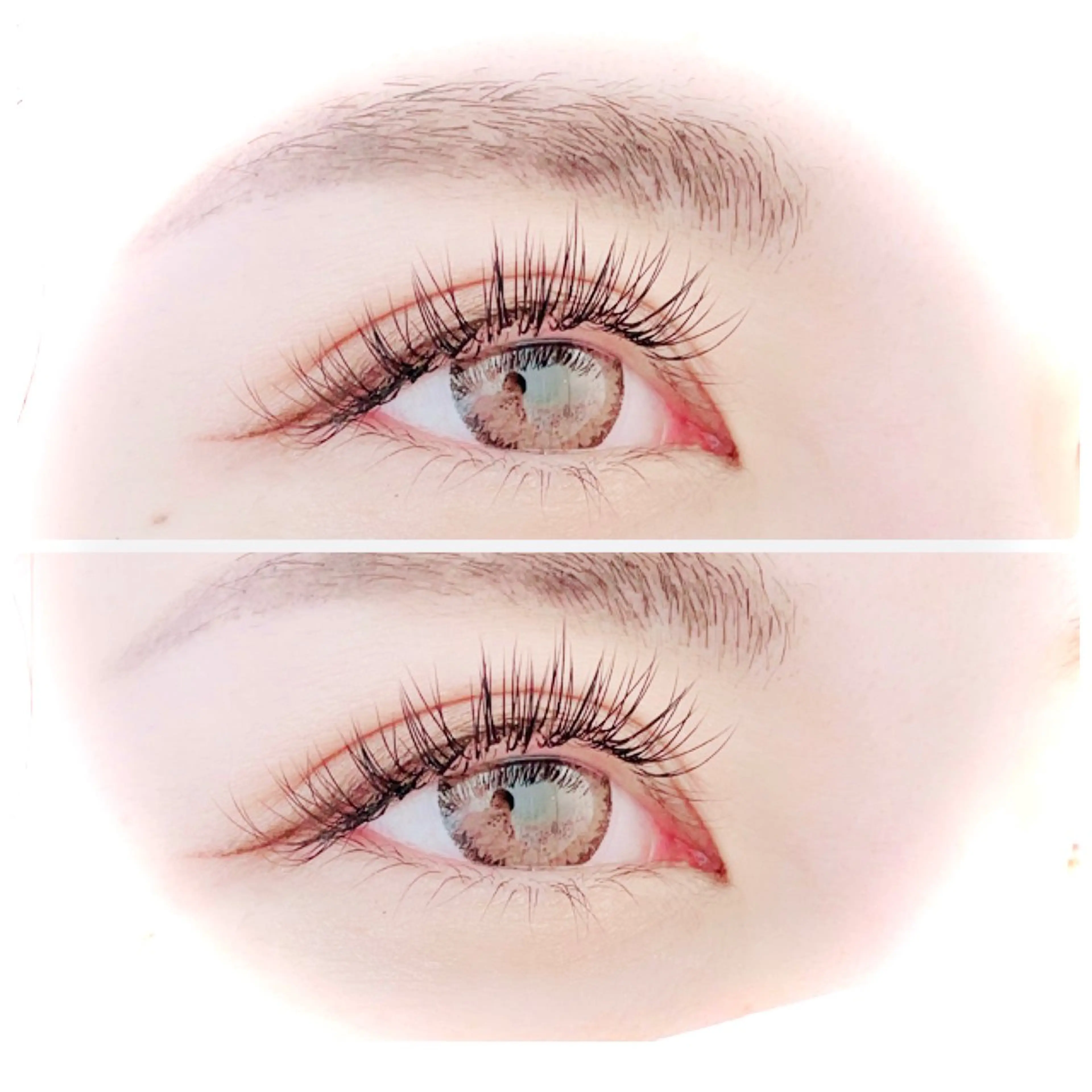 【初回オフ無料】フラットラッシュ100本の写真