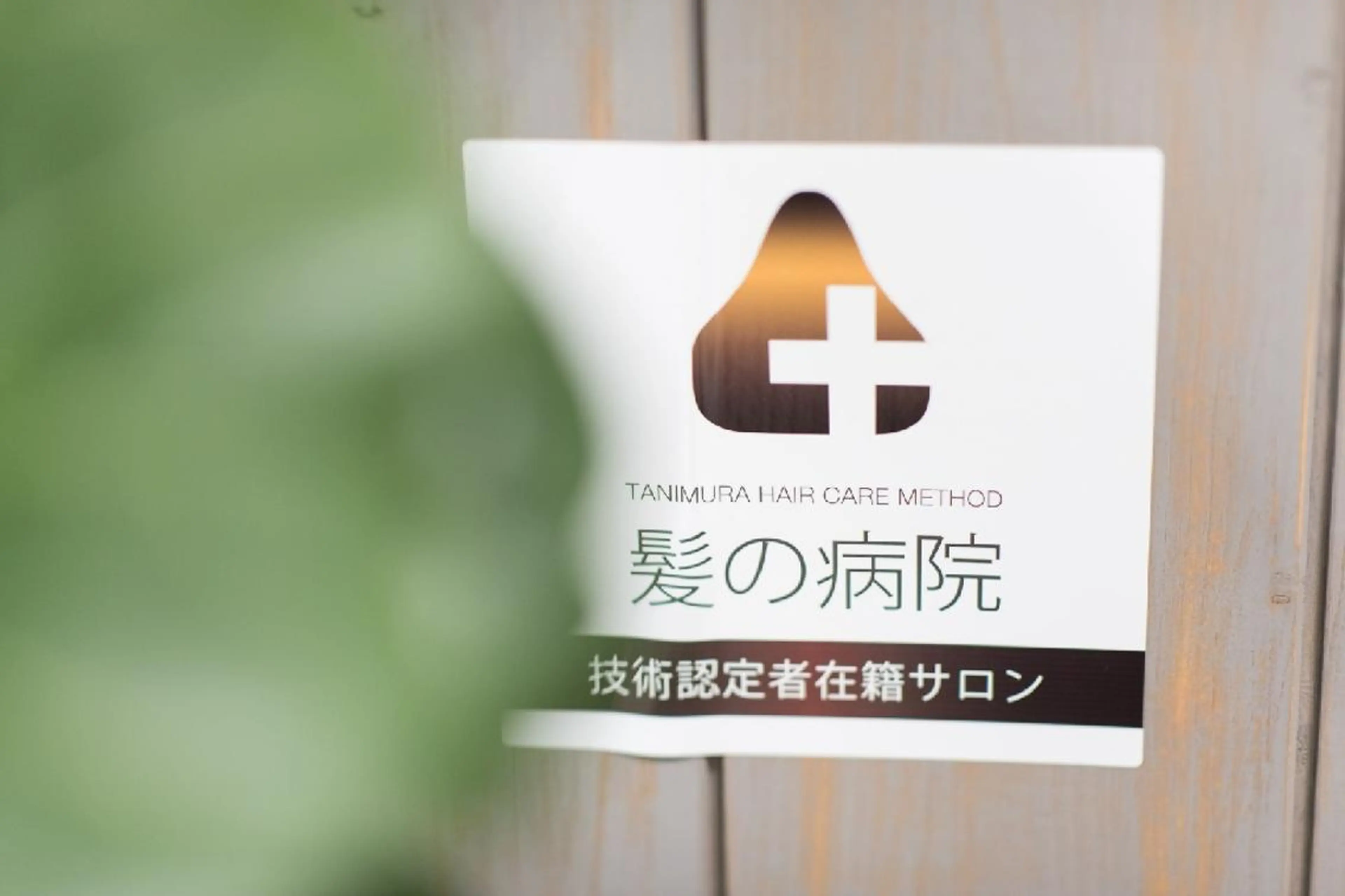 セミロング カラー ブルーカラー 髪質改善 トリートメント トリートメント 髪の病院ルーミールーム所属・髪の病院  ルーミールームのヘアスタイル