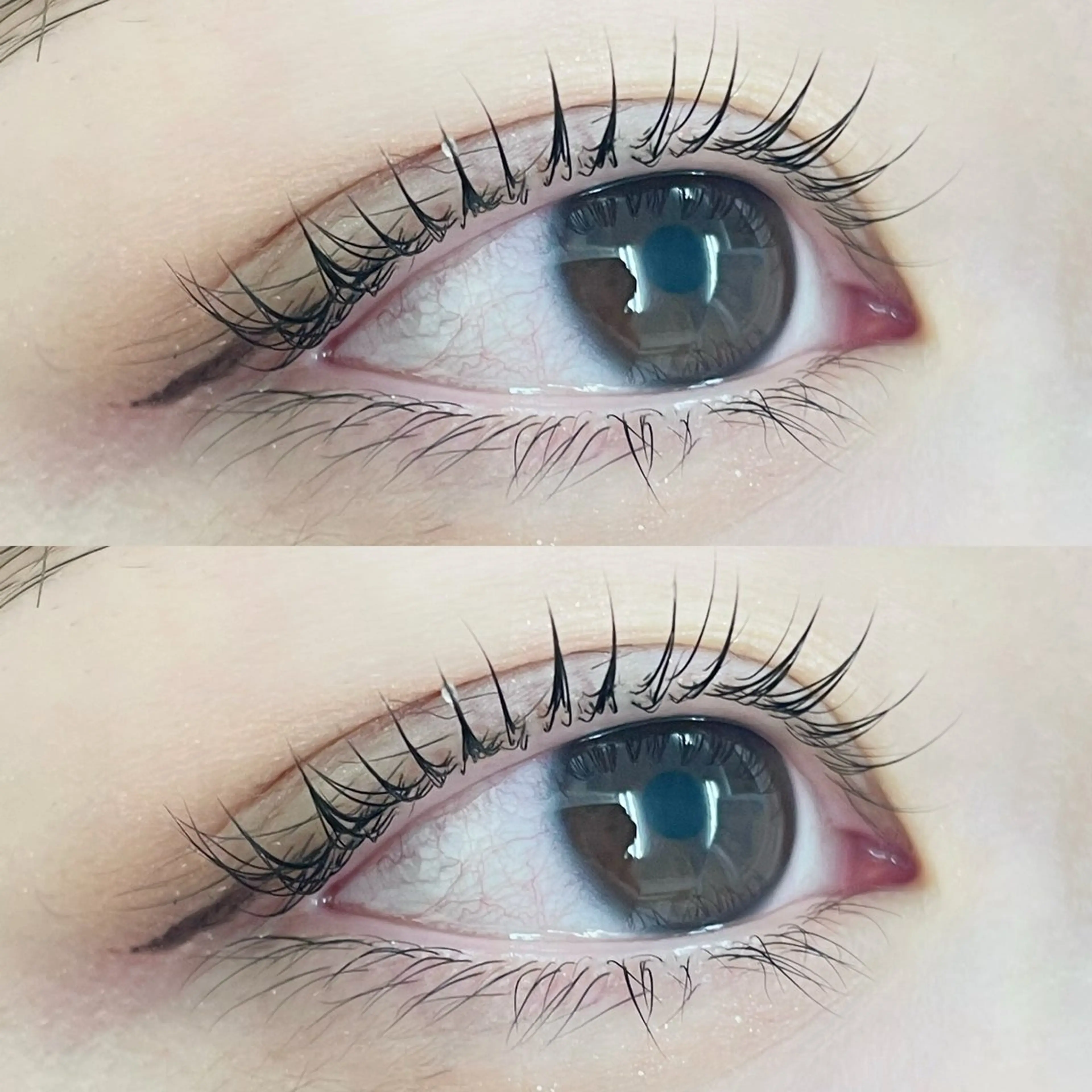 マツエク・マツパ パリジェンヌラッシュリフト alice tokyo石川★のマツエク・マツパデザイン