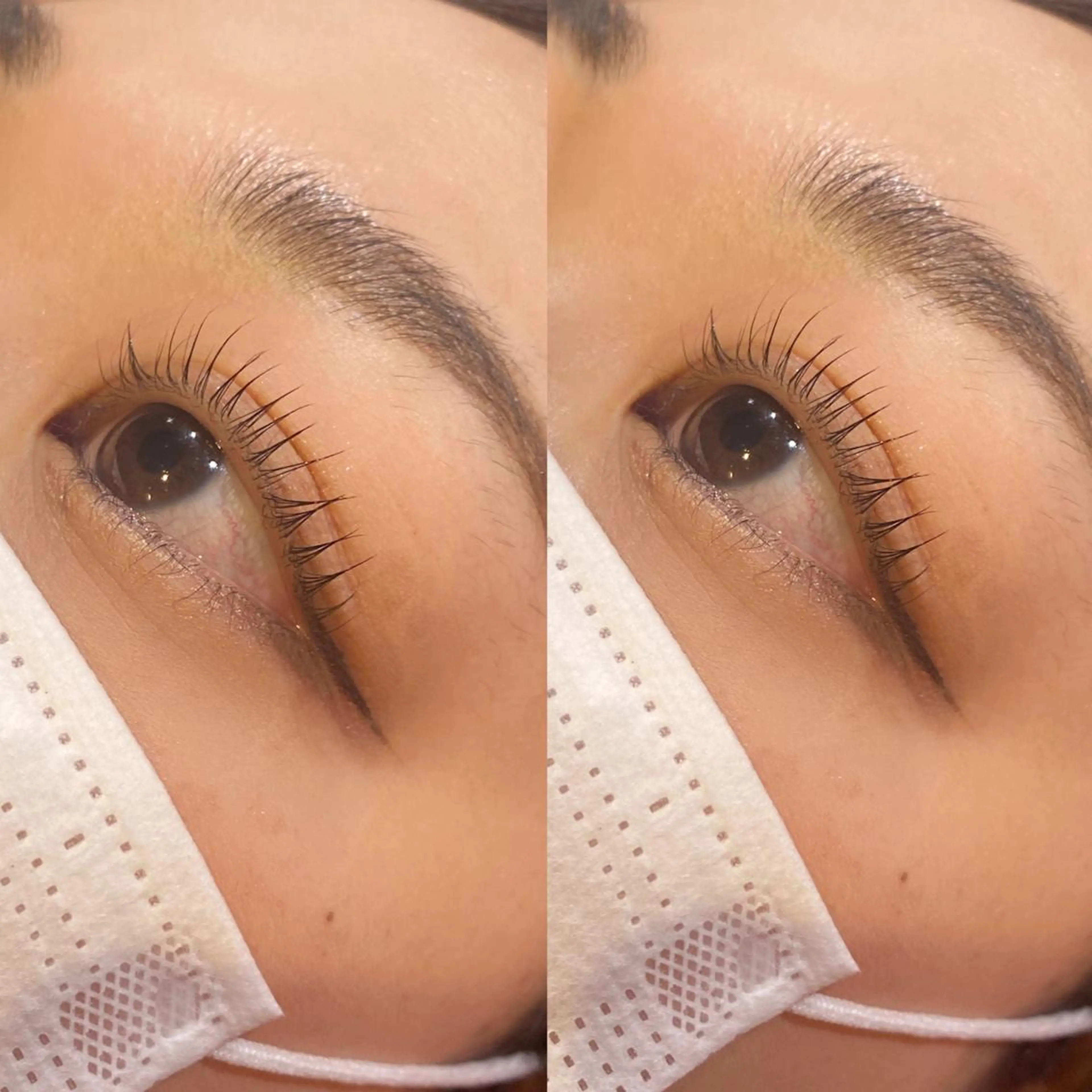 マツエク・マツパ マツパ 艶カラー 藤澤さくらのマツエク・マツパデザイン