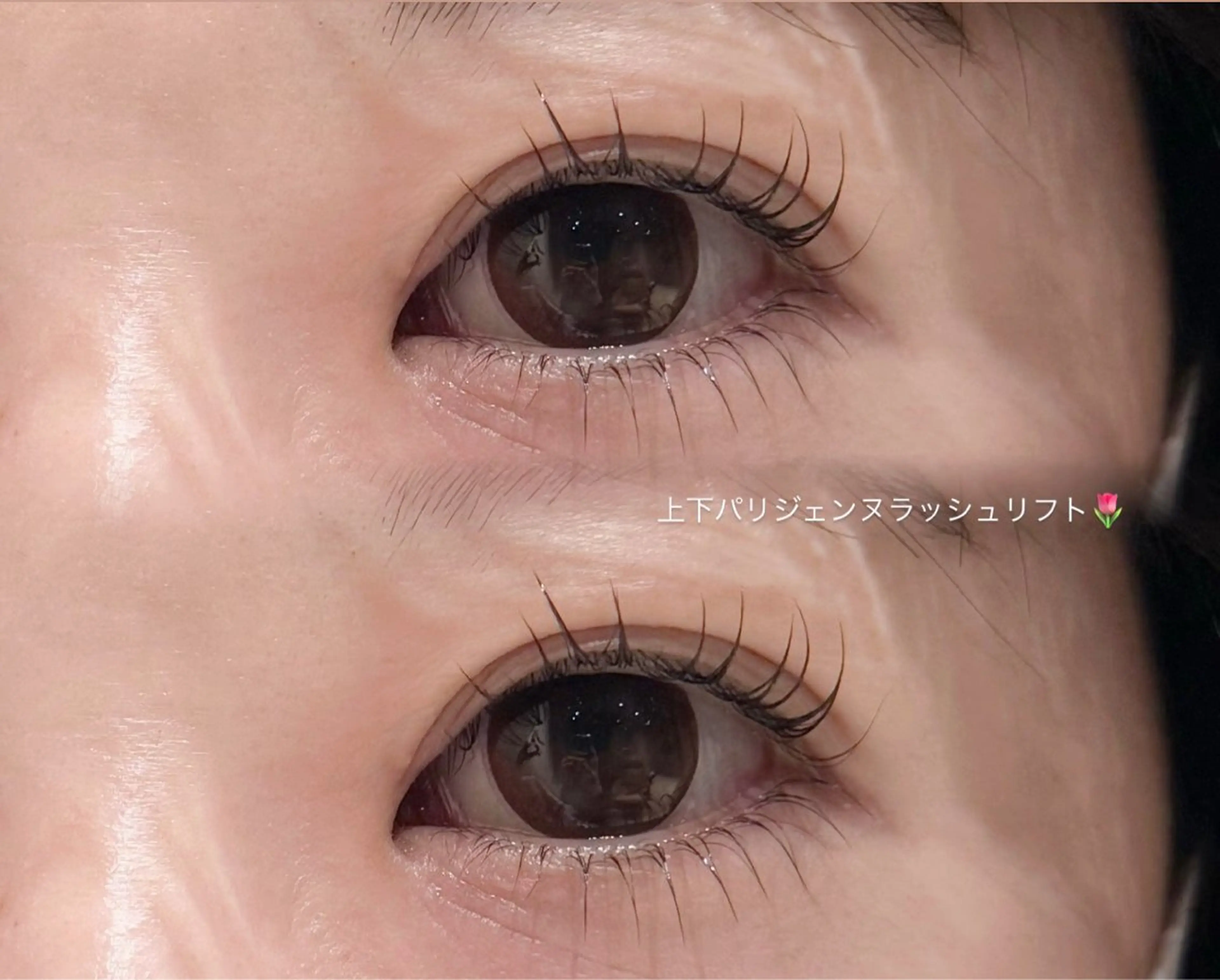 🌷パリジェンヌラッシュリフトの写真