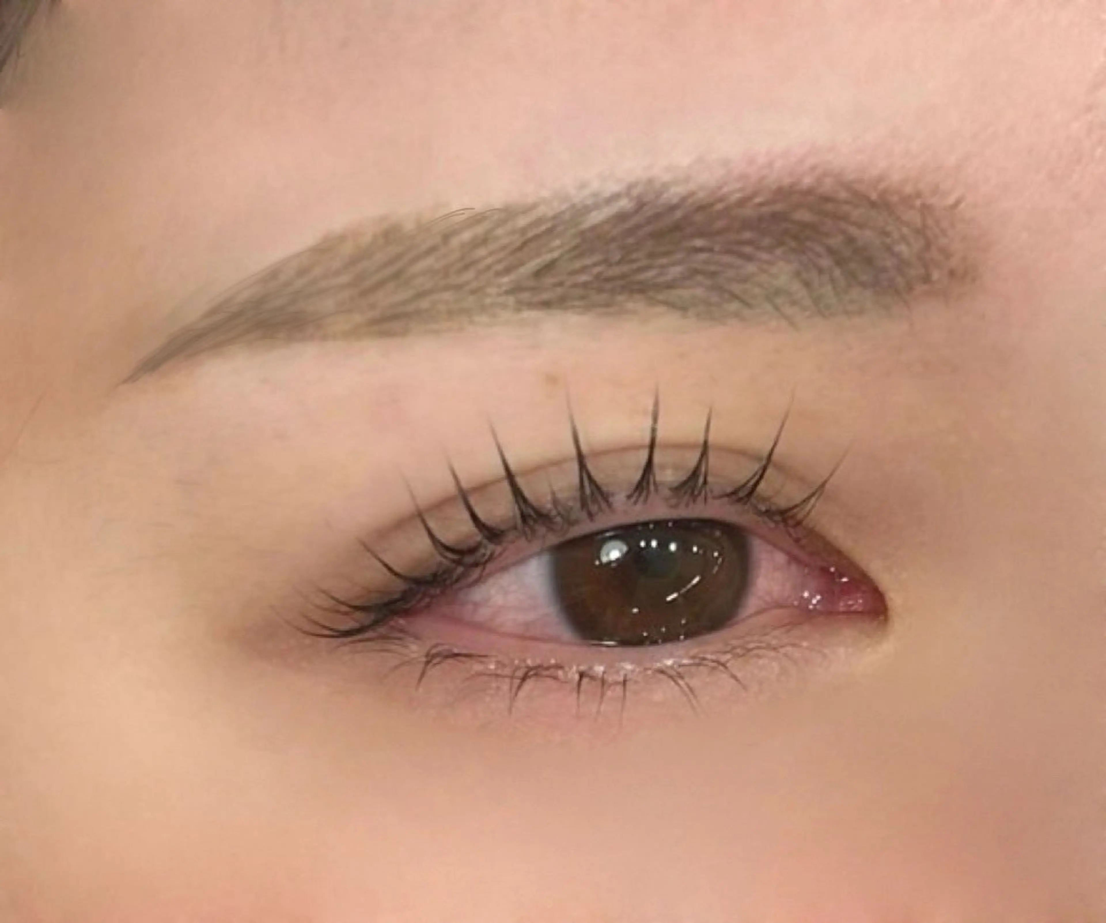 🎀アイブロウwax脱毛🎀の写真