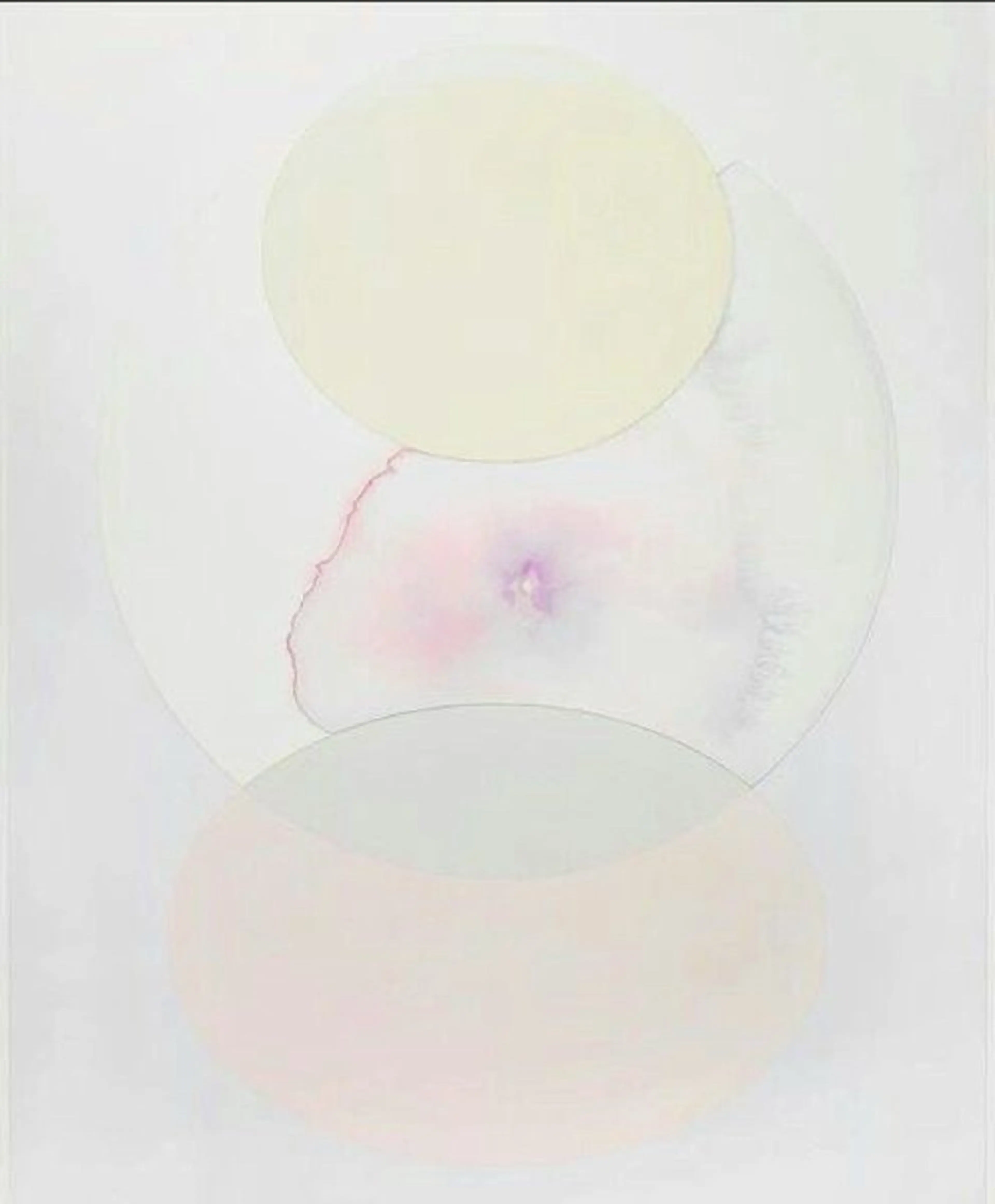 全顔ツヤ肌★フェイスWAX（毛穴・角質ケアでトーンUP💡）の写真