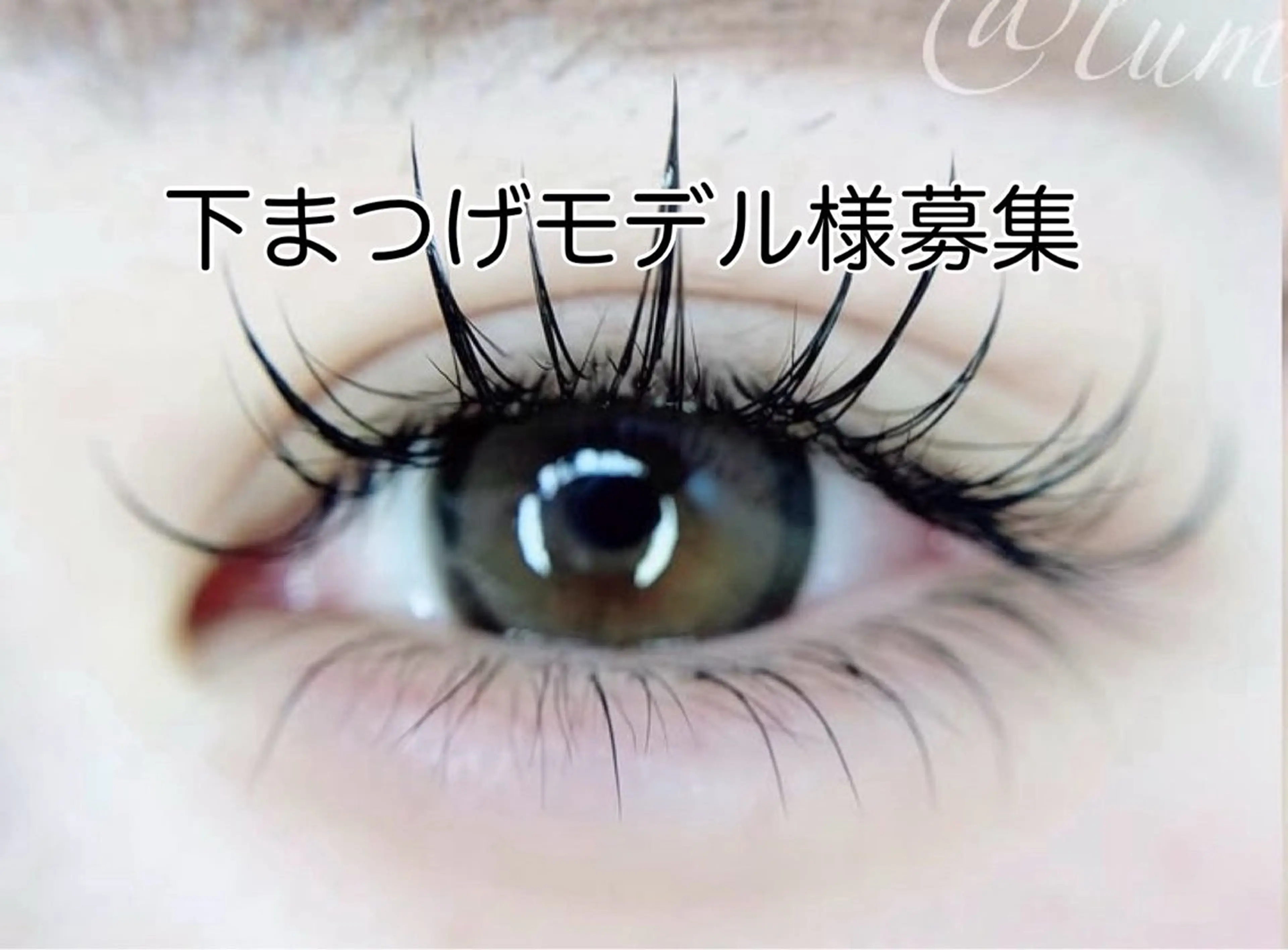 【3/25(水)限定】下まつ毛エクステモデル20本の写真