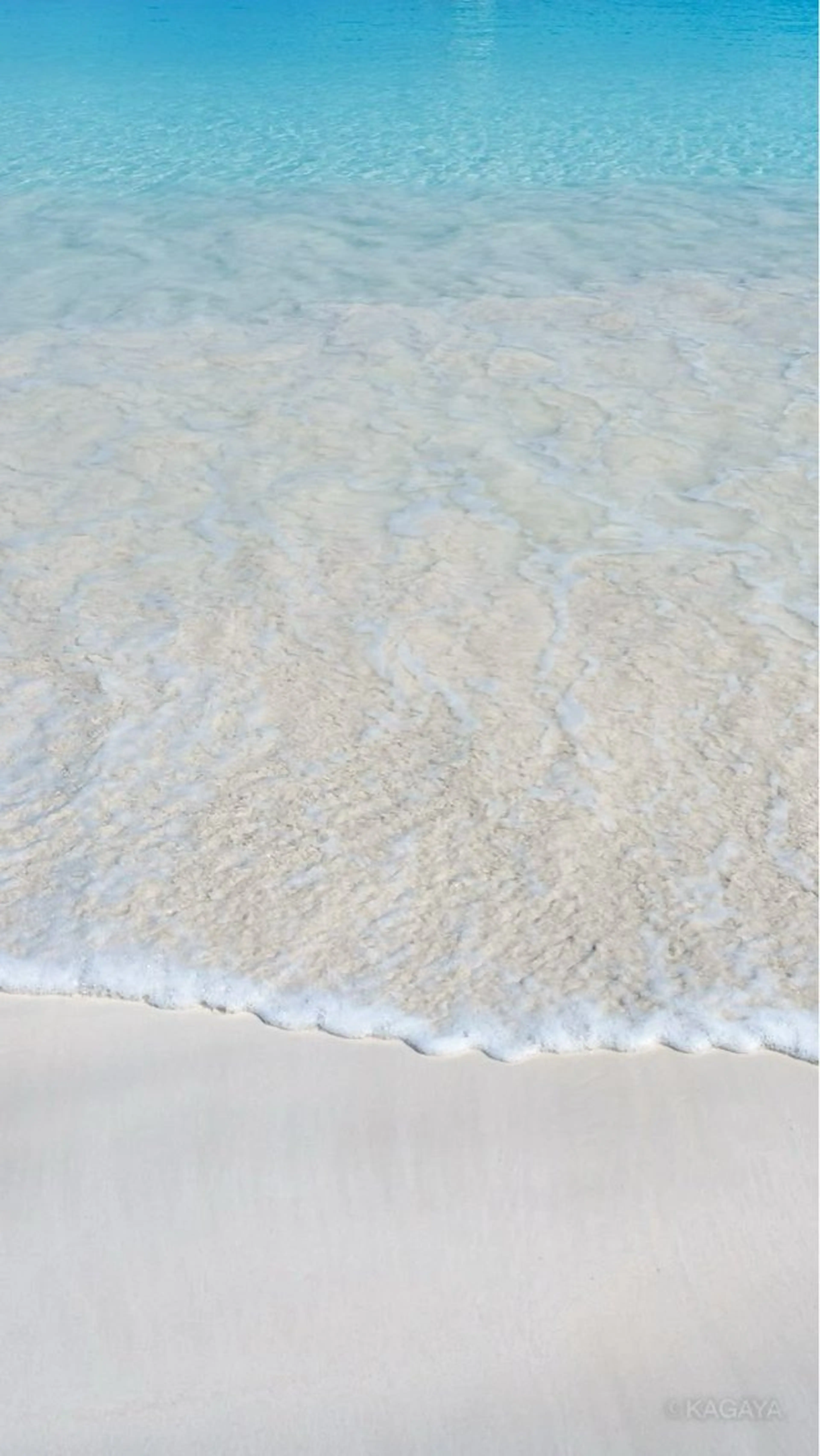 ネイル asuka 🐰のネイルデザイン