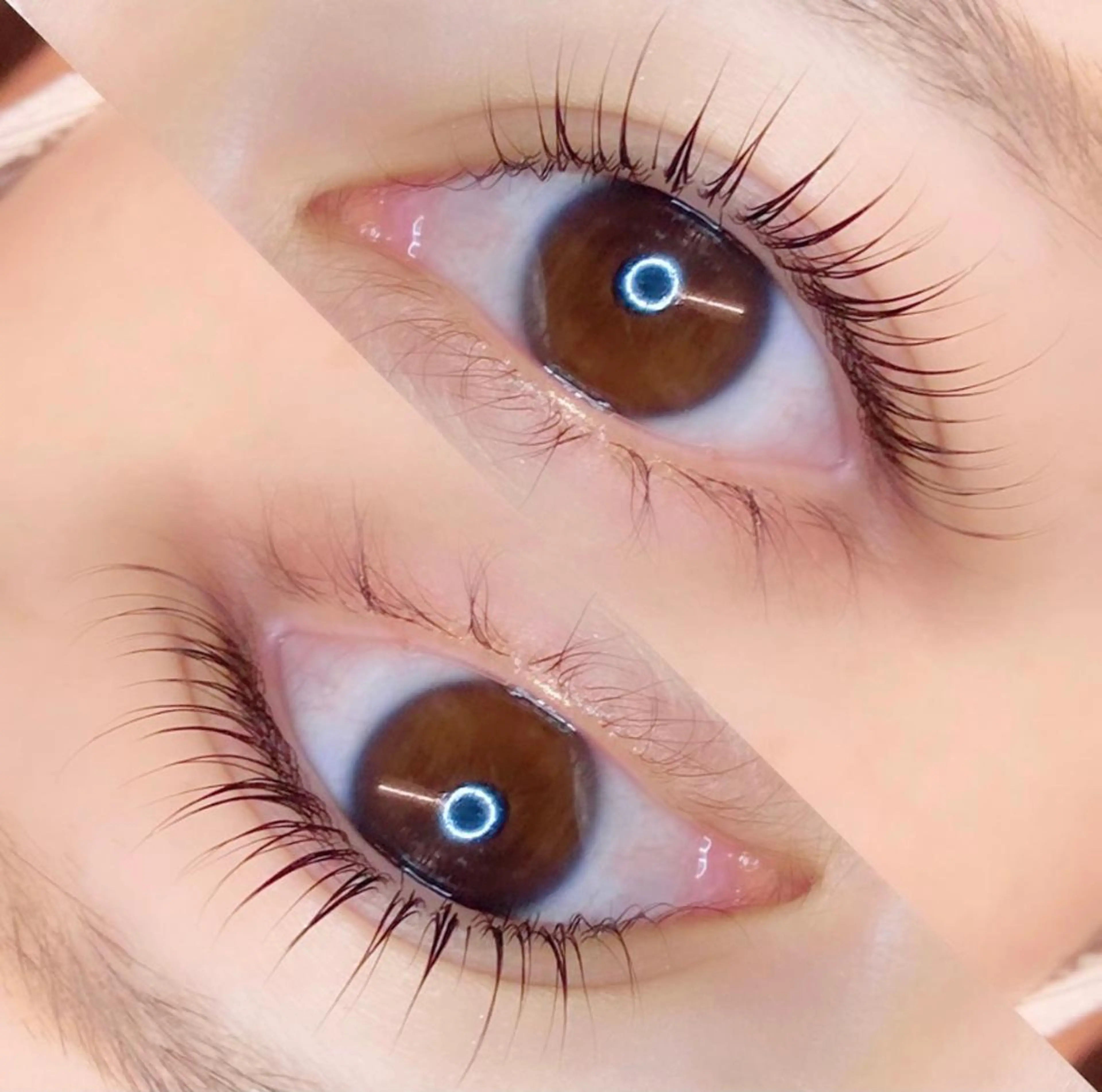 パリジェンヌorラッシュリフト♡上下セット(ケラチントリートメント付き)の写真