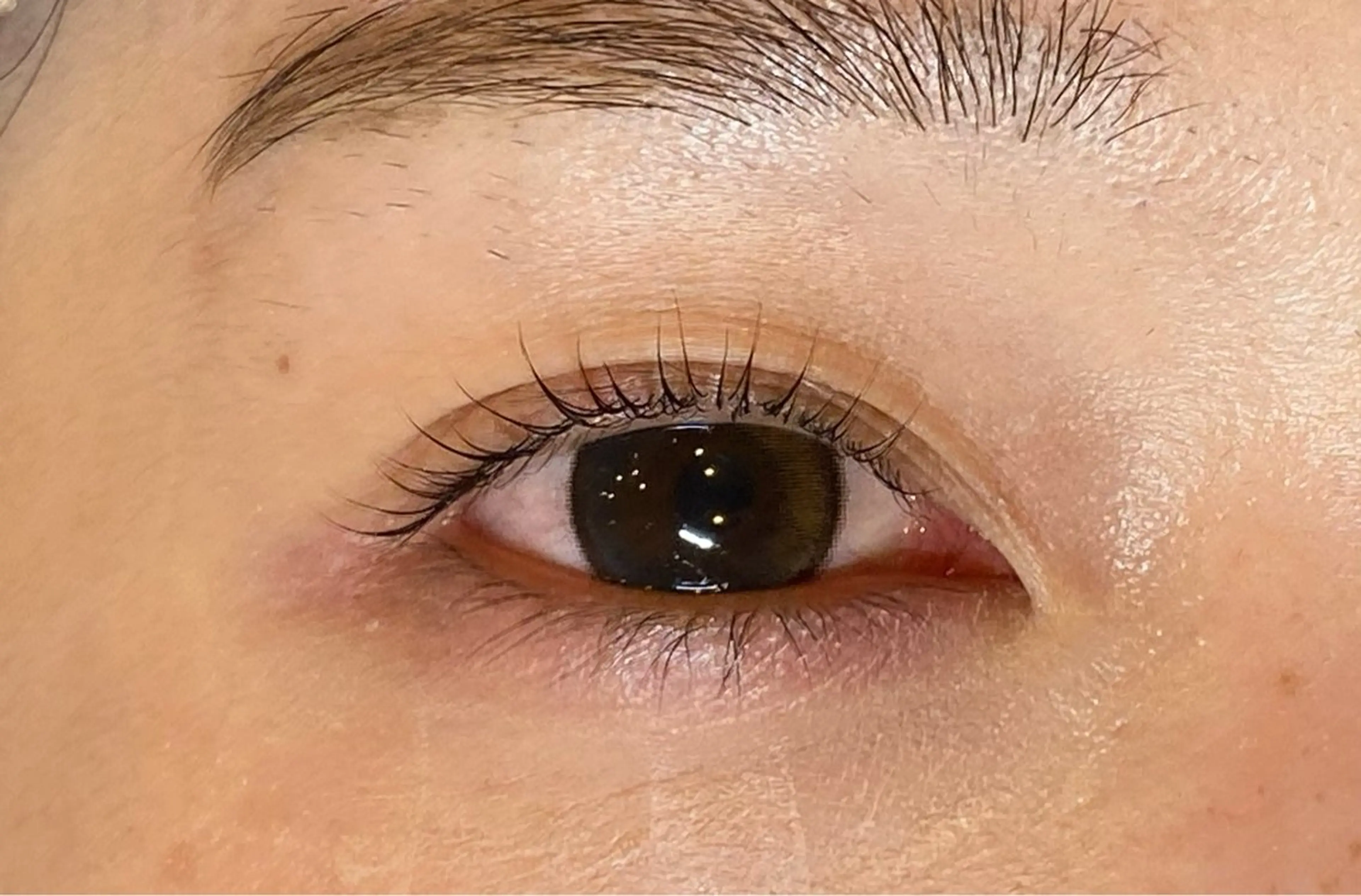 マツエク・マツパ まつげパーマ Daisy lash 京橋店堀井のマツエク・マツパデザイン