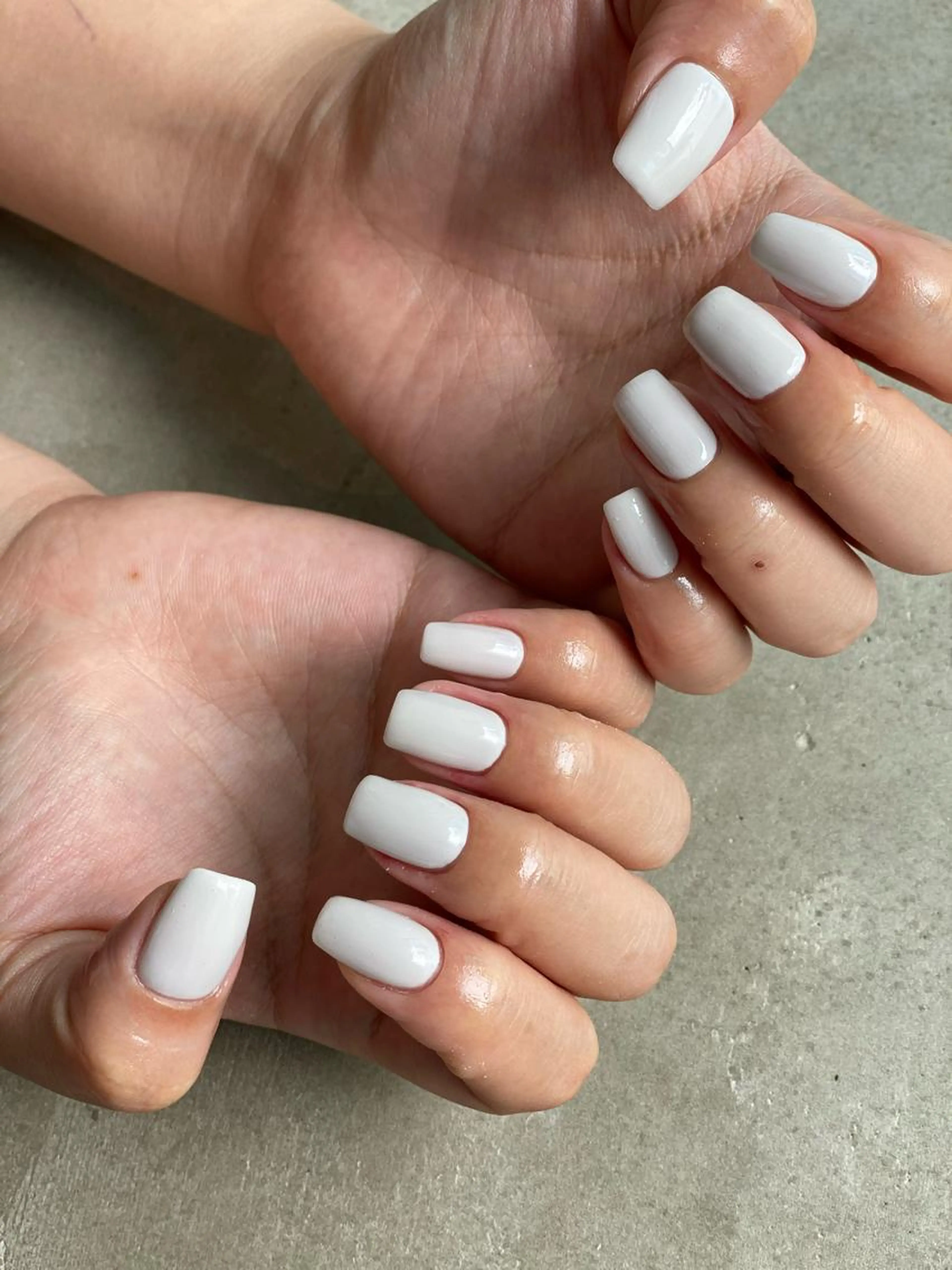 学割シンプルコースの写真