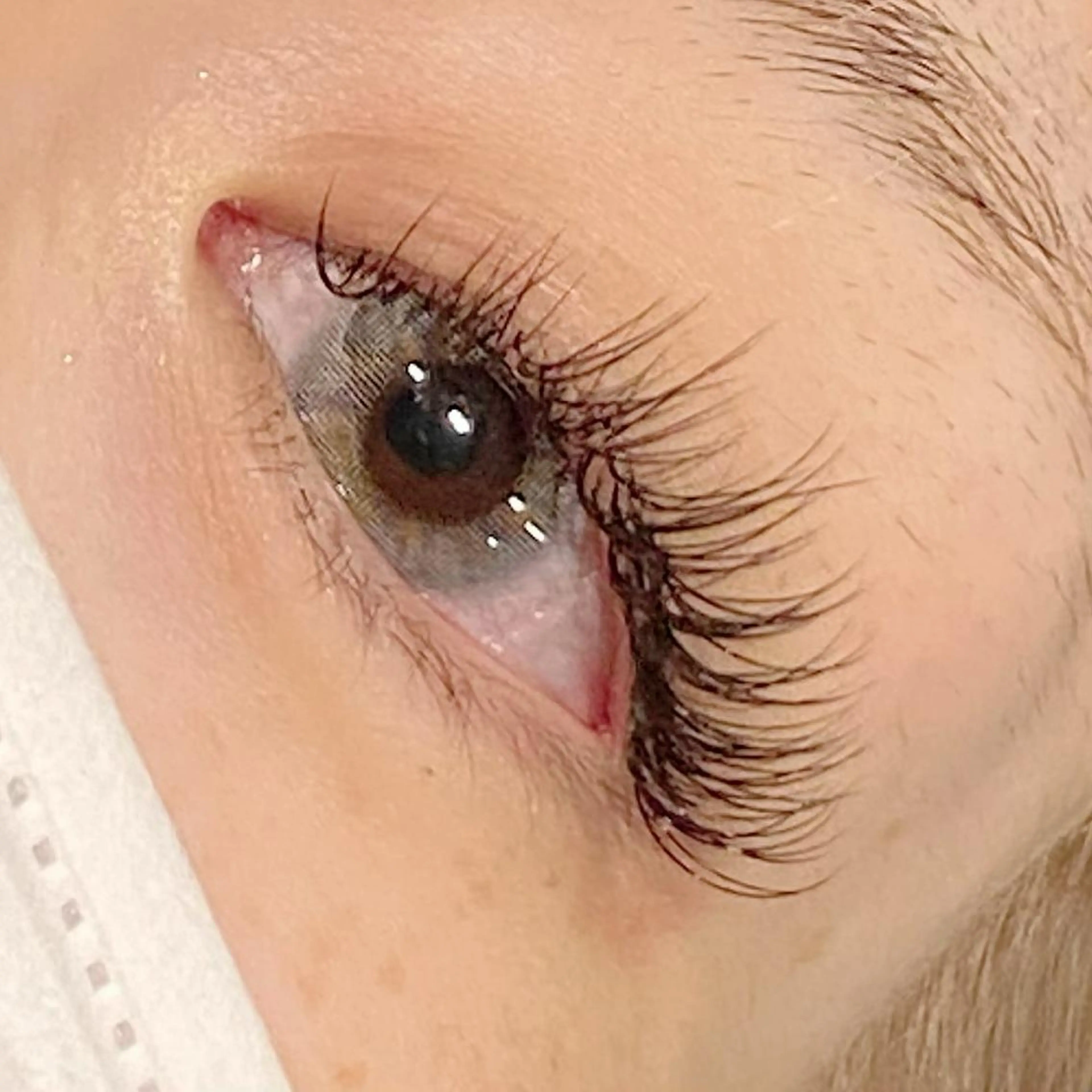 マツエク・マツパ Dカール セーブル マツエク ナオエ ハルカのマツエク・マツパデザイン