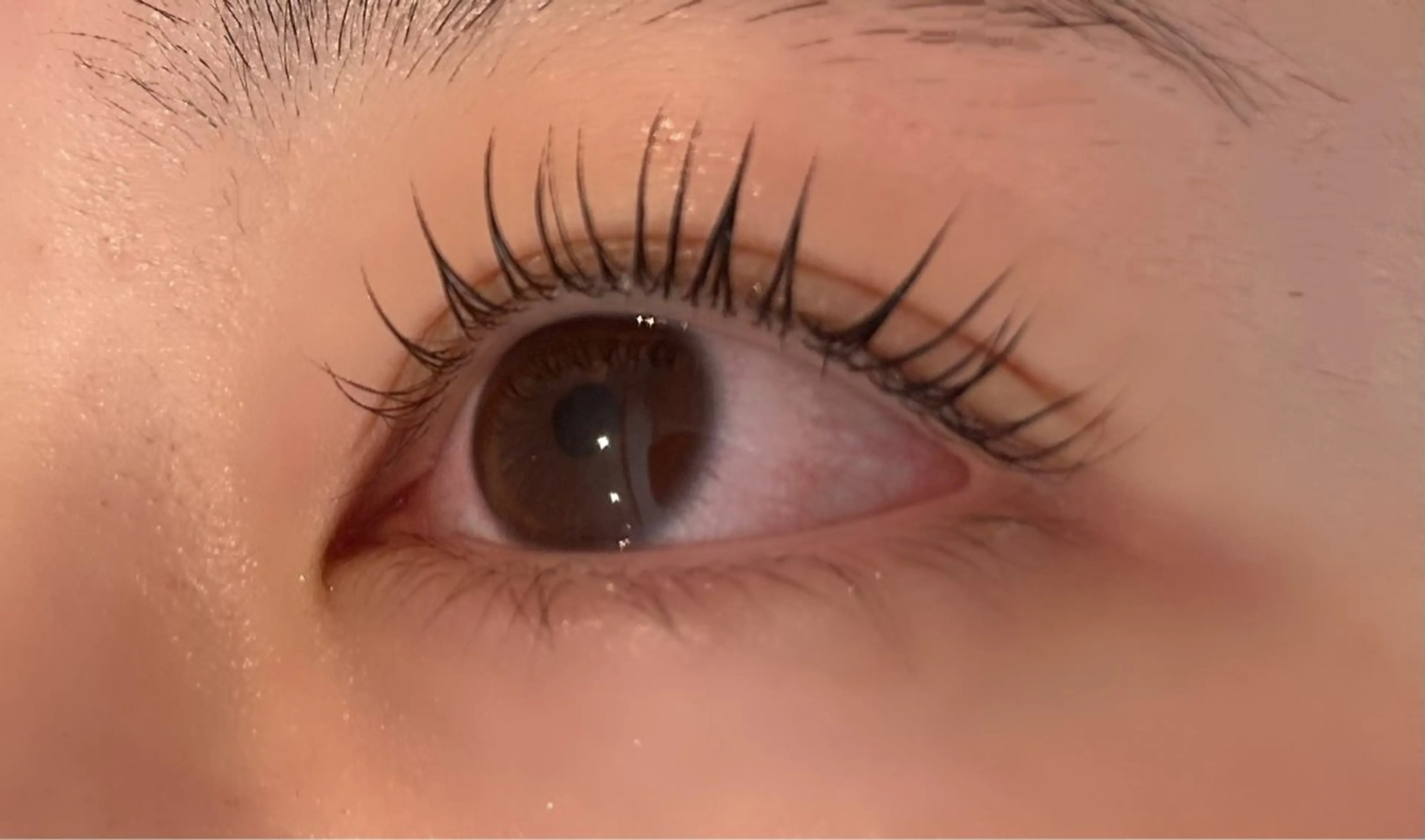 🤍minimo限定🤍まつ毛パーマ/パリジェンヌの写真