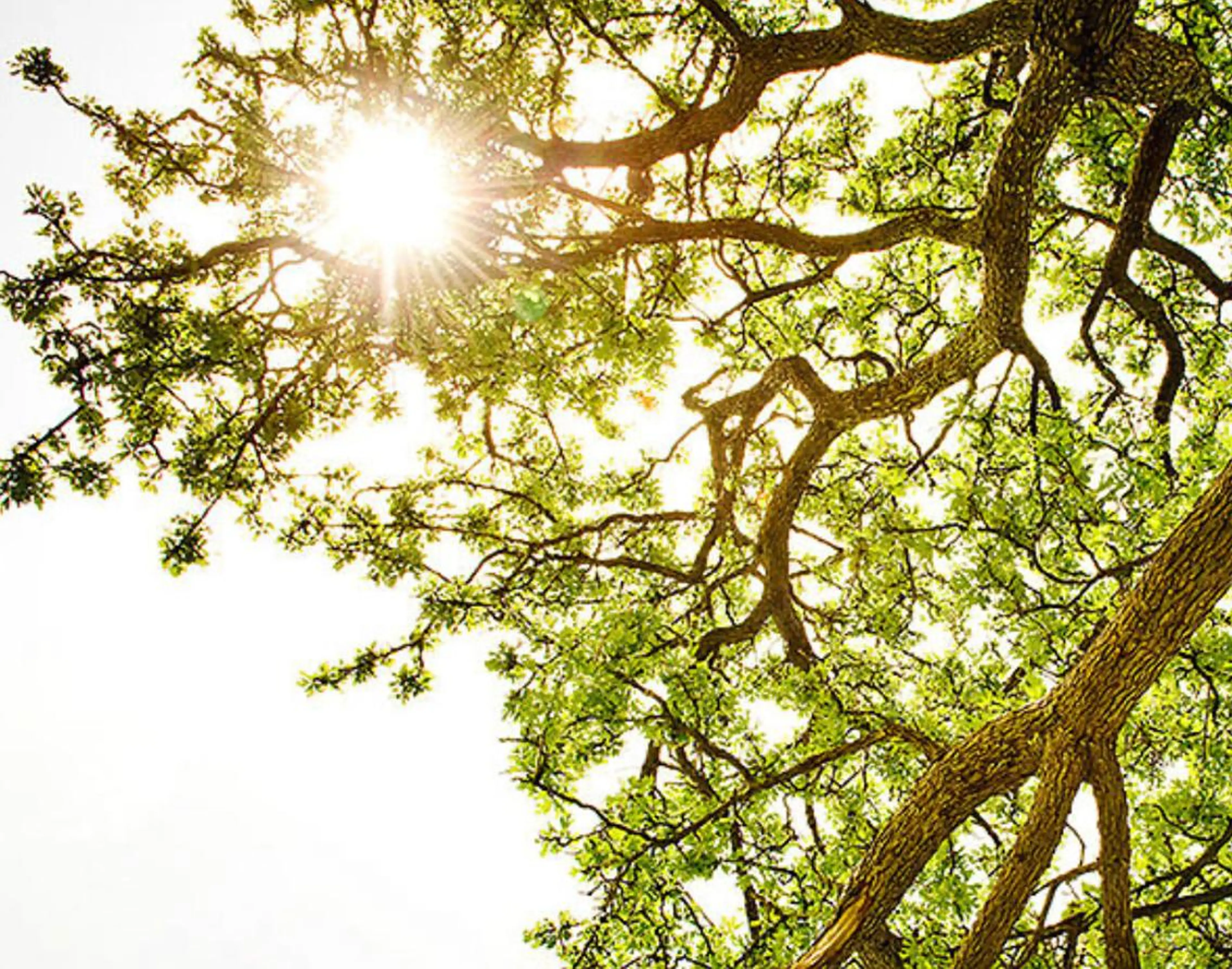 プライベートサロン a.b.f.dのネイルデザイン