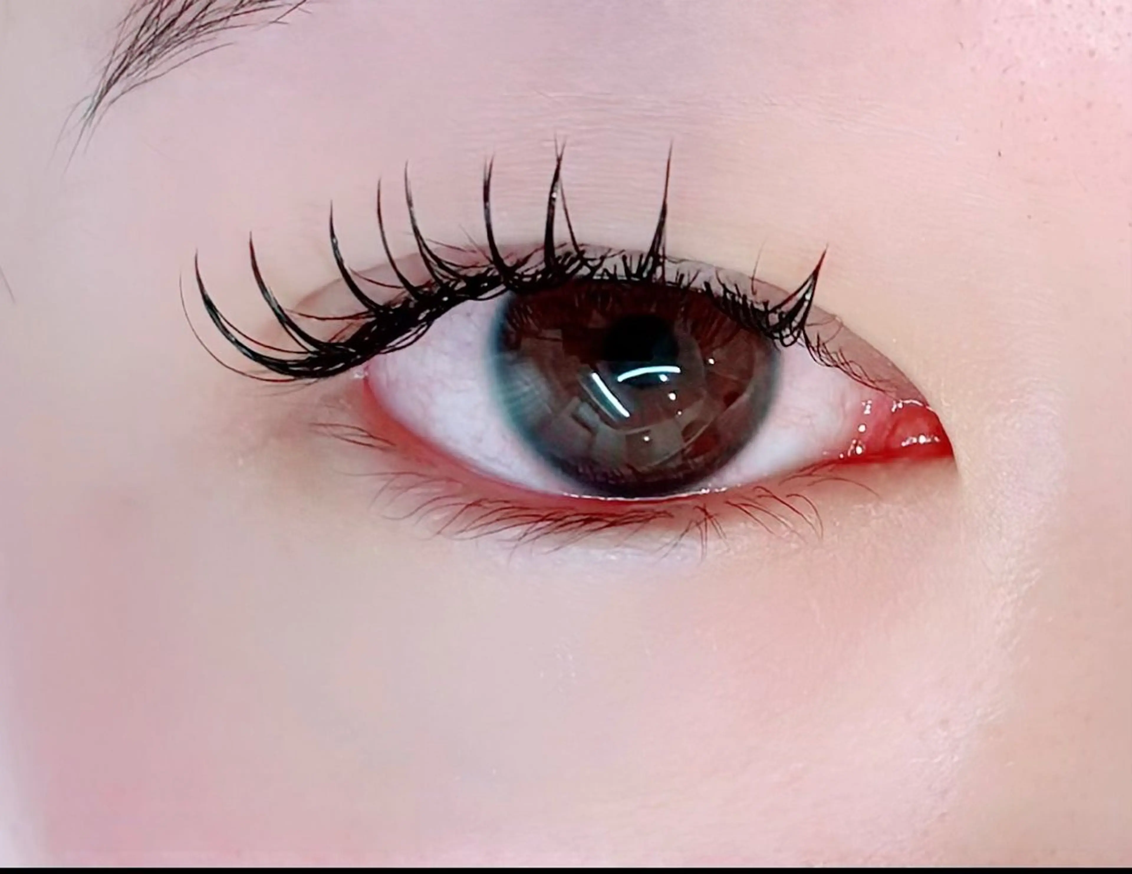 フラットラッシュ80本の写真