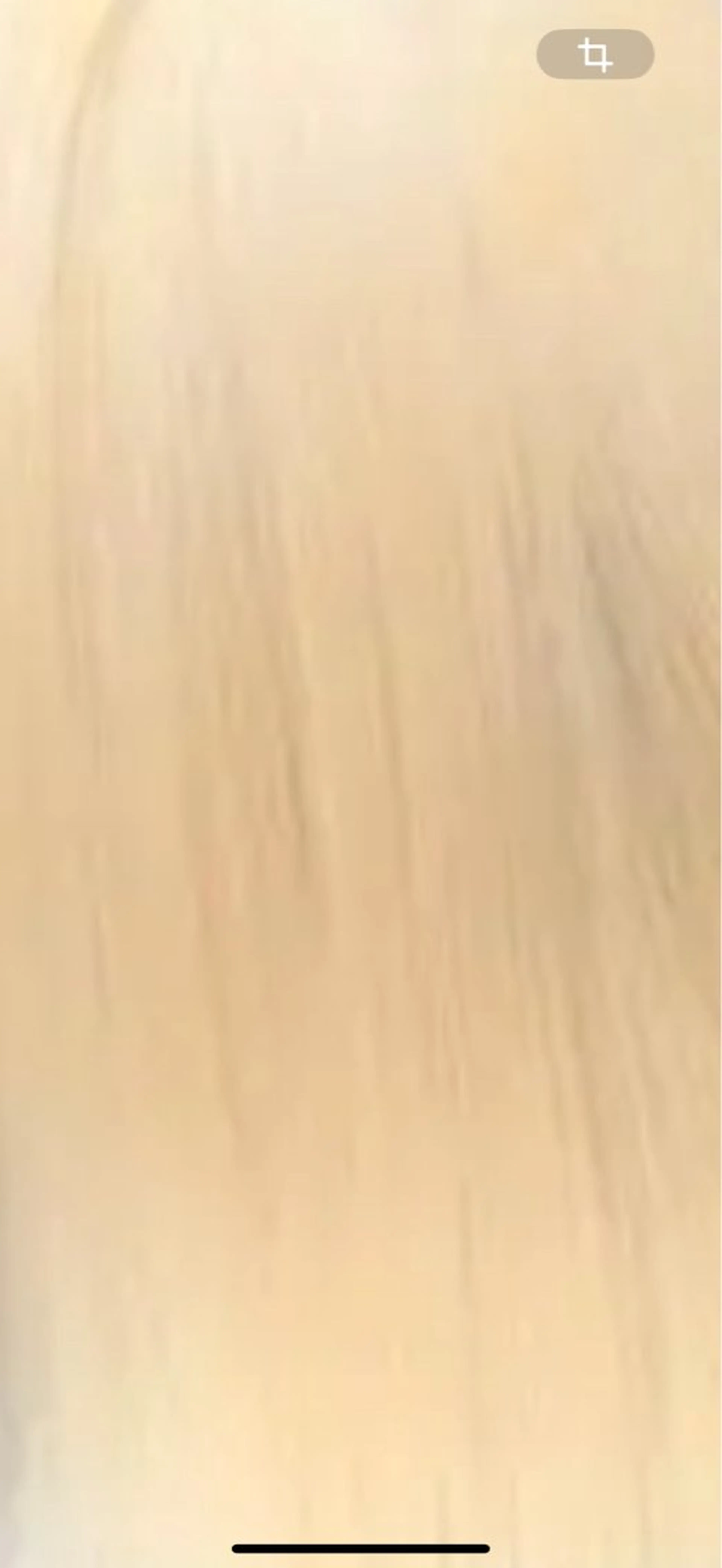 カラー ヘアカラー エクステ 渋谷/プルエクステ/ ハイトーン/みきとのヘアスタイル