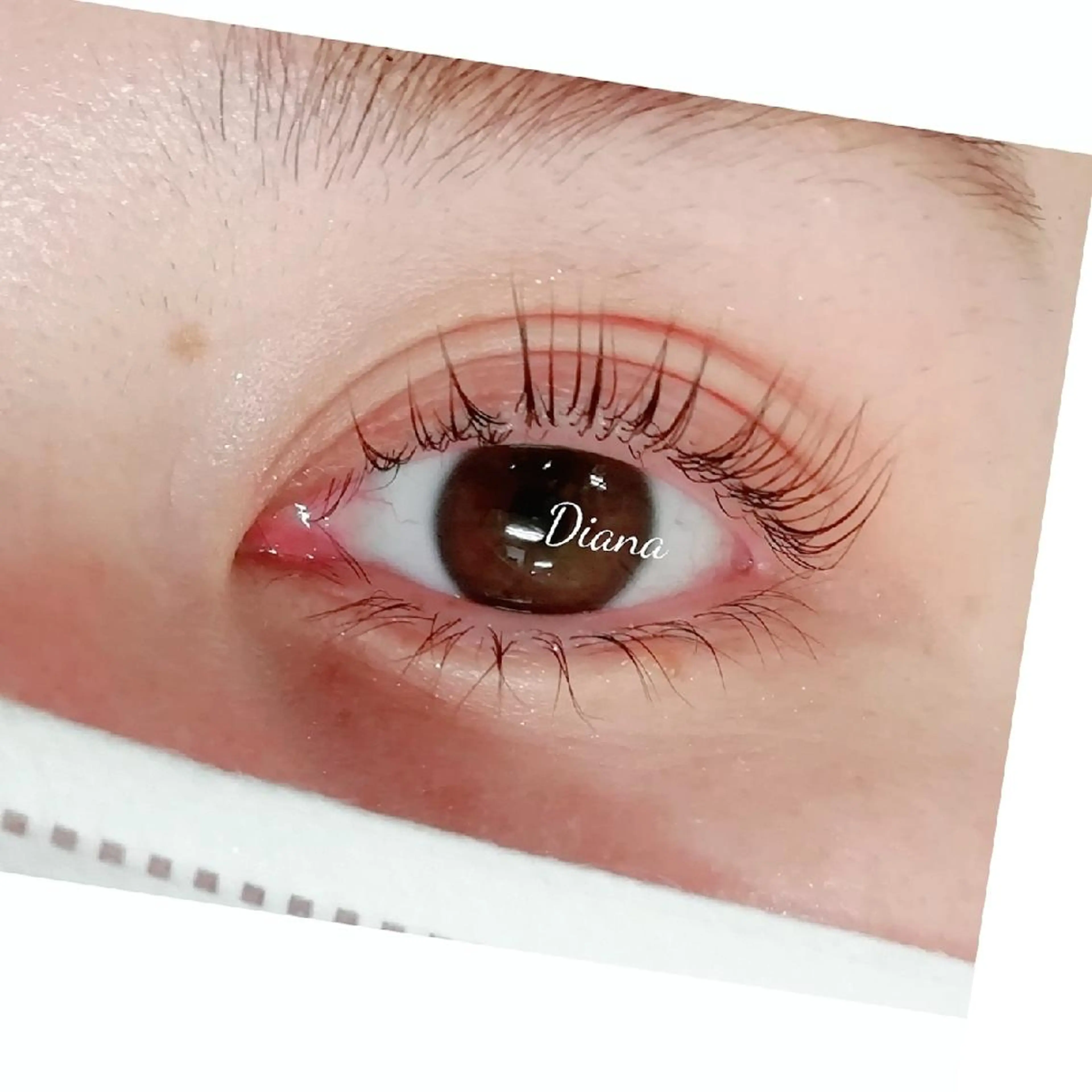 次世代まつ毛パーマ　パリジェンヌラッシュリフトの写真