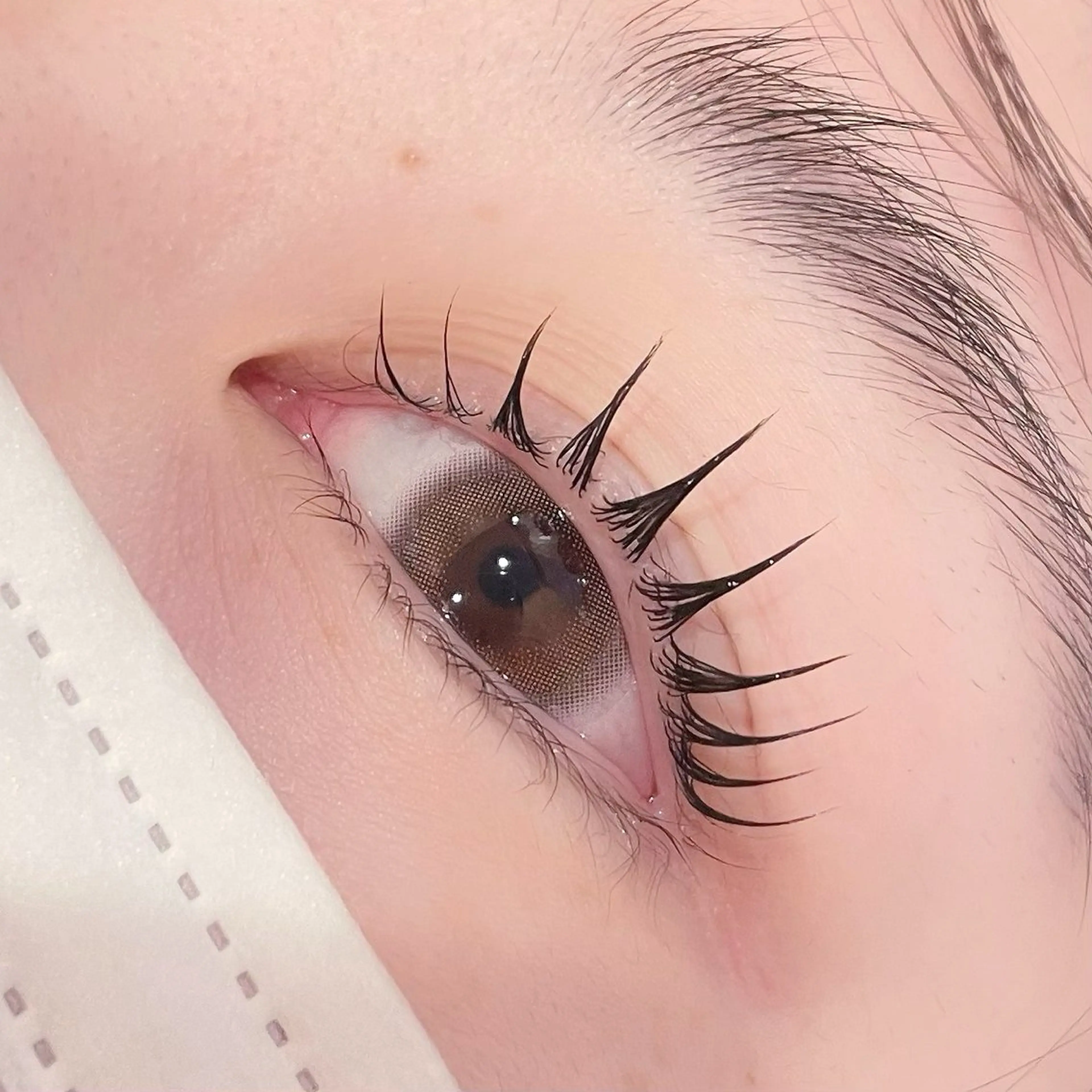 マツエク・マツパ pono大宮東口店 店長🩰AOHA🩰のマツエク・マツパデザイン