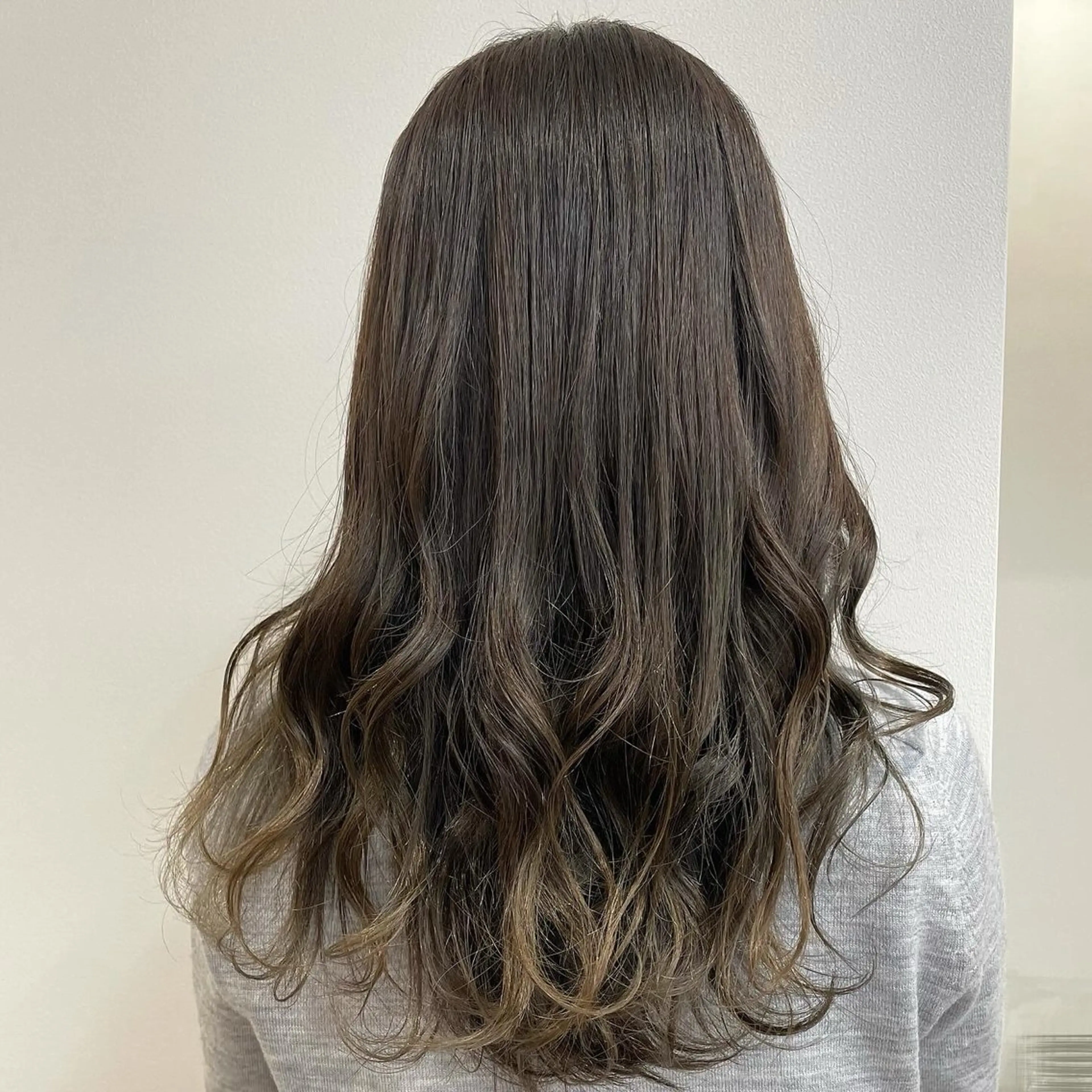 カットのみの写真