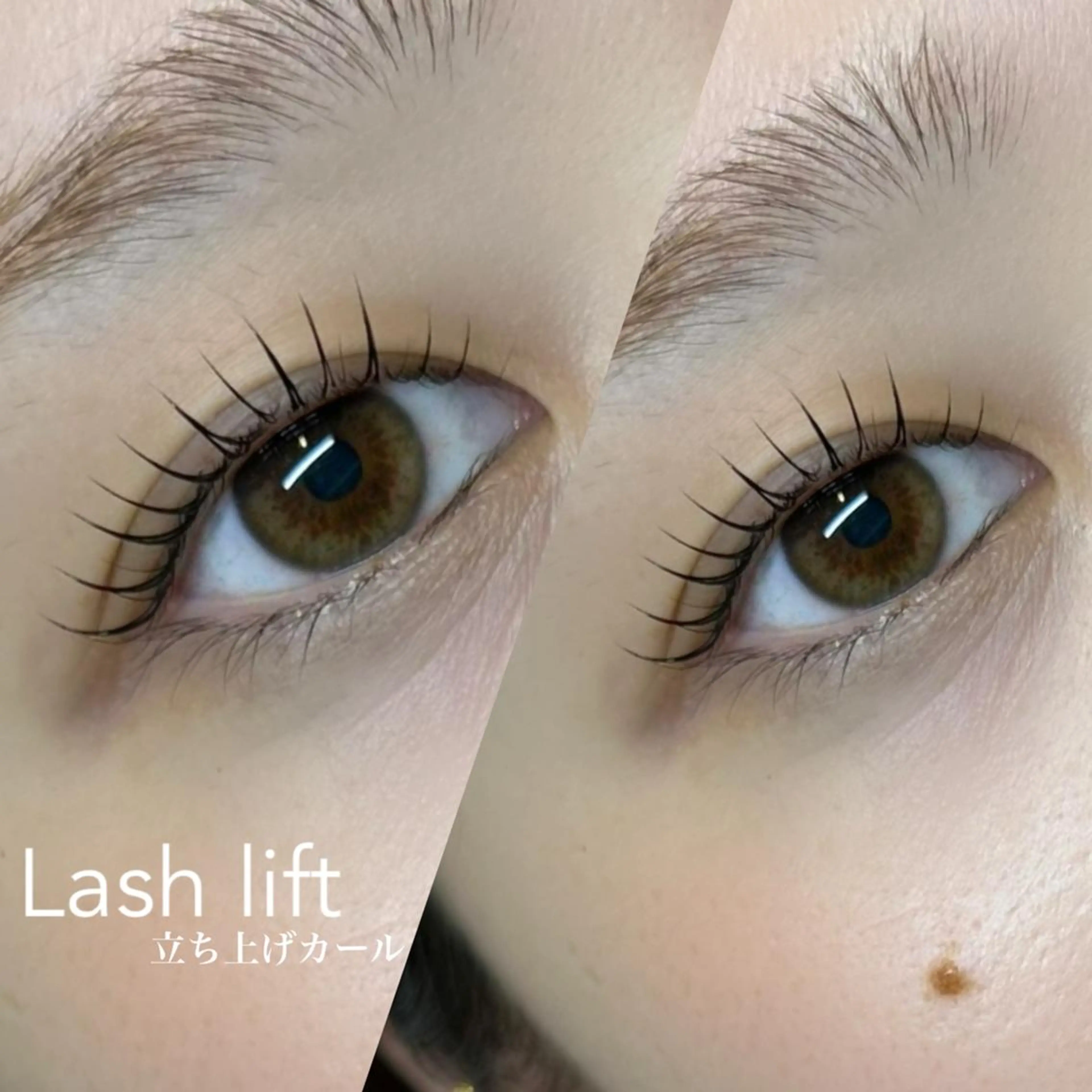 🦋まつ毛パーマ+選べるトリートメントコーティング仕上げ付 ¥5,500の写真