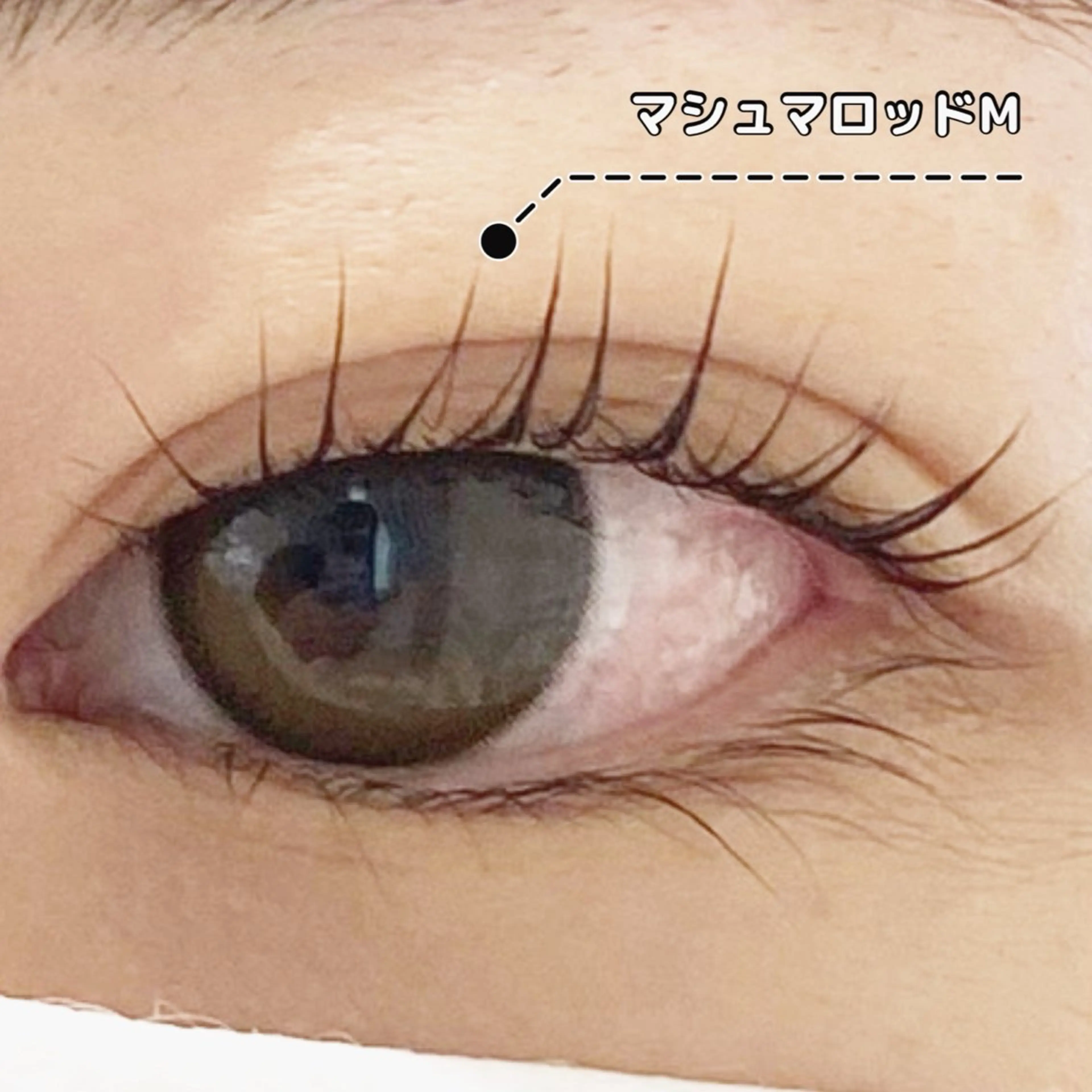 マツエク・マツパ パリジェンヌラッシュリフト LC尾張旭店所属・LC尾張旭店🫧 いしいのマツエク・マツパデザイン